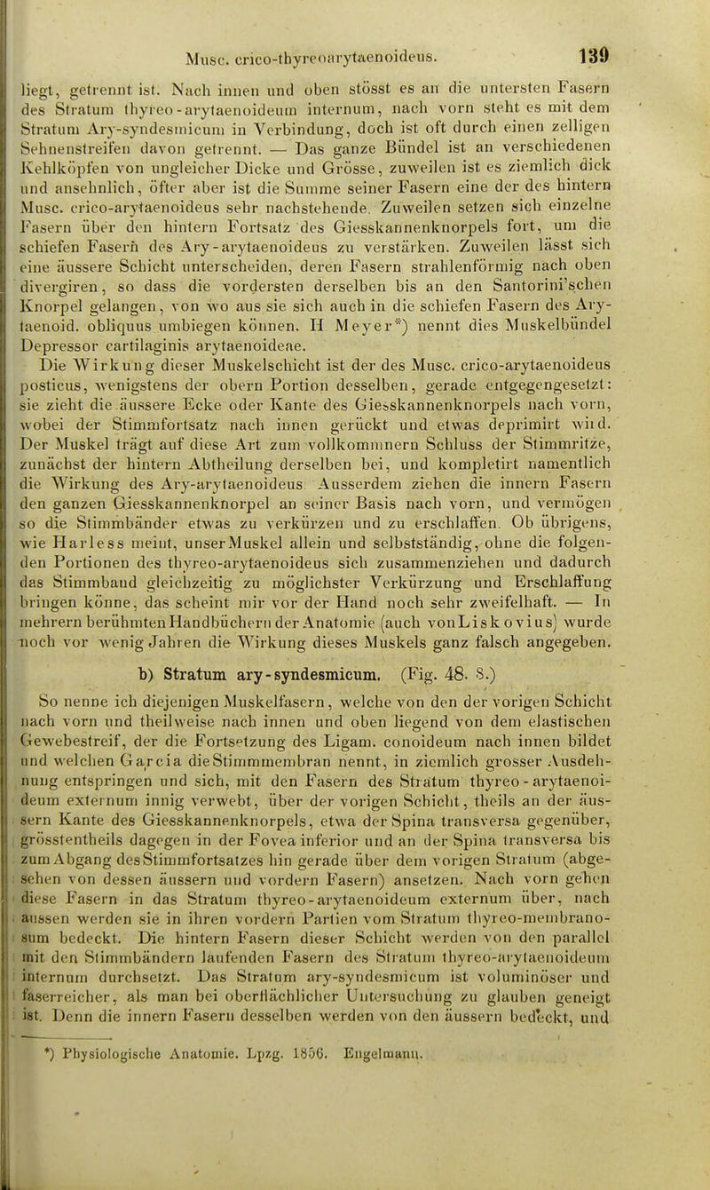 liegt, getrennt ist! Nach innen und oben stösst es an die untersten Fasern des Stratum thyreo-arytaenoideum internum, nach vorn steht es mit dem Stratum Ary-syndesmicum in Verbindung, doch ist oft durch einen zelligen Sehnenstreifen davon getrennt. — Das ganze Bündel ist an verschiedenen Kehlköpfen von ungleicher Dicke und Grösse, zuweilen ist es ziemlich dick und ansehnlich, öfter aber ist die Summe seiner Fasern eine der des hintern Muse, erico-arytaenoideus sehr nachstehende. Zuweilen setzen sich einzelne Fasern über den hintern Fortsatz des Giesskannenknorpels fort, um die schiefen Fasern des Ary-arytaenoideus zu verstärken. Zuweilen lässt. sich eine äussere Schicht unterscheiden, deren Fasern strahlenförmig nach oben divergiren, so dass die vordersten derselben bis an den Santorini'schen Knorpel gelangen, von wo aus sie sich auch in die schiefen Fasern des Ary- taenoid. obliquus umbiegen können. H Meyer*) nennt dies Muskelbündel Depressor cartilaginis arytaenoideae. Die Wirkung dieser Muskelschicht ist der des Muse, crico-arytaenoideus posticus, wenigstens der obern Portion desselben, gerade entgegengesetzt: sie zieht die äussere Ecke oder Kante des Giesskannenknorpels nach vorn, wohei der Stimmfortsatz nach innen gerückt und etwas deprimirt wild. Der Muskel trägt auf diese Art zum vollkomnineru Schluss der Stimmritze, zunächst der hintern Abtheilung derselben bei, und kompletirt namentlich die Wirkung des Ary-arytaenoideus Ausserdem ziehen die innern Fasern den ganzen Giesskannenknorpel an seiner Basis nach vorn, und vermögen so die Stimmbänder etwas zu verkürzen und zu erschlaffen. Ob übrigens, wie Harless meint, unserMuskel allein und selbstständig, ohne die folgen- den Portionen des thyreo-arytaenoideus sich zusammenziehen und dadurch das Stimmbaud gleichzeitig zu möglichster Verkürzung und Erschlaffung bringen könne, das scheint mir vor der Hand noch sehr zweifelhaft. — In mehrern berühmten Handbüchern der Anatomie (auch vonLisk ovius) wurde noch vor wenig Jahren die Wirkung dieses Muskels ganz falsch angegeben. b) Stratum ary-syndesmicum. (Fig. 48. 8.) So nenne ich diejenigen Muskelfasern, welche von den der vorigen Schicht nach vorn und theilvveise nach innen und oben liegend von dem elastischen Gewebestreif, der die Fortsetzung des Ligam. conoideum nach innen bildet und welchen Garcia die Stimmmembran nennt, in ziemlich grosser Ausdeh- nung entspringen und sich, mit den Fasern des Stratum thyreo - arytaenoi- deum externum innig verwebt, über der vorigen Schicht, theils an der äus- sern Kante des Giesskannenknorpels, etwa der Spina transversa gegenüber, grösstentheils dagegen in der Fovea inferior und an der Spina transversa bis . zum Abgang des Stimmfortsatzes hin gerade über dem vorigen Stratum (abge- sehen von dessen äussern und vordem Fasern) ansetzen. Nach vorn gehen ■ diese Fasern in das Stratum thyreo-arytaenoideum externum über, nach aussen werden sie in ihren vordem Partien vom Stratum thyreo-meinbrano- ! sum bedeckt. Die hintern Fasern dieser Schicht werden von den parallel mit den Stimmbändern laufenden Fasern des Stratum thyreo-arytaenoideuni internum durchsetzt. Das Stratum ary-syndesmicum ist voluminöser und faserreicher, als man bei oberflächlicher Untersuchung zu glauben geneigt i ist. Denn die irinern Fasern desselben werden von den äussern bedeckt, und *) Physiologische Anatomie. Lpzg. 185(3. Engelnuanu.