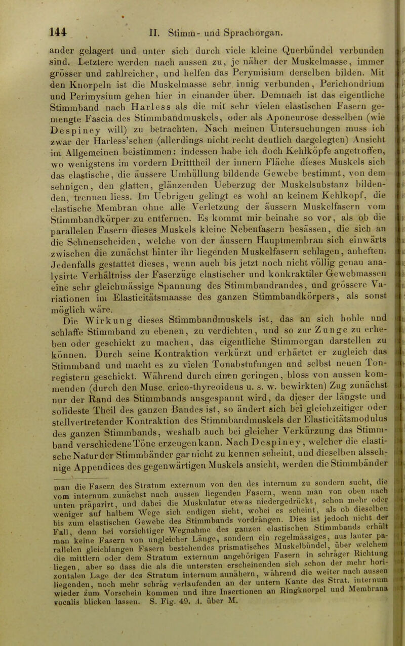 ander gelagert und unter sich durch viele kleine Querhündel verbunden sind. Letztere werden nach aussen zu, je näher der Muskelmasse, immer grösser und zahlreicher, und helfen das Perymisium derselben bilden. Mit den Knorpeln ist die Muskelmasse sehr innig verbunden, Perichondrium und Perimysium gehen hier in einander über. Demnach ist das eigentliche Stimmband nach Harless als die mit sehr vielen elastischen Fasern ge- mengte Fascia des Stimmbandmuskels, oder als Aponeurose desselben (wie Despiney will) zu betrachten. Nach nieinen Untersuchungen muss ich zwar der Harless'schen (allerdings nicht recht deutlich dargelegten) Ansicht im Allgemeinen beistimmen: indessen habe ich doch Kehlköpfe angetroffen, wo wenigstens im vordem Dritttheil der innern Fläche dieses Muskels sich das elastische, die äussere Umhüllung bildende Gewebe bestimmt, von dem sehnigen, den glatten, glänzenden Ueberzug der Muskelsubstanz bilden- den, trennen Hess. Im Uebrigen gelingt es wohl an keinem Kehlkopf, die elastische Membran ohne alle Verletzung der äussern Muskelfasern vom Stimmbandkörper zu entfernen. Es kommt mir beinahe so vor, als ob die parallelen Fasern dieses Muskels kleine Nebenfasern besässen, die sich an die Sehnenscheiden, welche von der äussern Hauptmembran sich einwärts zwischen die zunächst hinter ihr liegenden Muskelfasern schlagen, anheften. Jedenfalls gestattet dieses, wenn auch bis jetzt noch nicht völlig genau ana- lysirte Verhältniss der Faserzüge elastischer und konkraktiler Gewebmassen eine sehr gleichmässige Spannung des Stimmbandrandes, und grössere \ a- riationen im Elasticitätsmaasse des ganzen Stimmbandkörpers, als sonst möglich wäre. Die Wirkung dieses Stimmbandmuskels ist, das an sich hohle und schlaffe Stimmband zu ebenen, zu verdichten, und so zur Zunge zu erhe- ben oder geschickt zu machen, das eigentliche Stimmorgan darstellen zu können. Durch seine Kontraktion verkürzt und erhärtet er zugleich das Stimmband und macht es zu vielen Tonabstufungen und selbst neuen Ton- registern geschickt. Während durch ehren geringen, bloss von aussen kom- menden (durch den Muse, crico-thyreoideus u. s. w. bewirkten) Zug zunächst nur der Rand des Stimmbands ausgespannt wird, da dieser der längste und solideste Theil des ganzen Bandes ist, so ändert sich bei gleichzeitiger oder stellvertretender Kontraktion des Stimmbandinuskels der Elasticitätsmodulus des ganzen Stimrnbands, weshalb auch bei gleicher Verkürzung das Stimm- band verschiedene Töne erzeugen kann. Nach Despiney, welcher die elasti- sche Natur der Stimmbänder gar nicht zu kennen scheint, und dieselben aisseh- nige Appendices des gegenwärtigen Muskels ansieht, werden die Stimmbänder inan die Fasern des Stratum externum von den des internum zu sondern sucht, die vom internum zunächst nach aussen liegenden Fasern, wenn man von oben nach unten präparirt, und dabei die Muskulatur etwas niedergedruckt, schon mehr oder weniger auf halbem Wege sich endigen sieht, wobei es scheint, als ob d'eselben bis zum elastischen Gewebe des Stimmbands vordrangen. Dies ist jedoch nicht der Fall denn bei vorsichtiger Wegnahme des ganzen elastischen Stimmbands erhalt man keine Fasern von ungleicher Länge, sondern ein regelmassiges aus lauter pa- rallelen gleichlangen Fasern bestehendes prismatisches Muskelbunde , über welchem die mittlem oder dem Stratum externum angehörigen Fasern in schräger Richtung liegen, aber so dass die als die untersten erscheinenden sich schon der mehr hori- zontalen Lage der des Stratum internum annähern, während die weiter nach aussen liegenden, noch mehr schräg verlaufenden an der untern Kante des btrat internum wieder zum Vorschein kommen und ihre Insertionen an Ringknorpel und Membrana