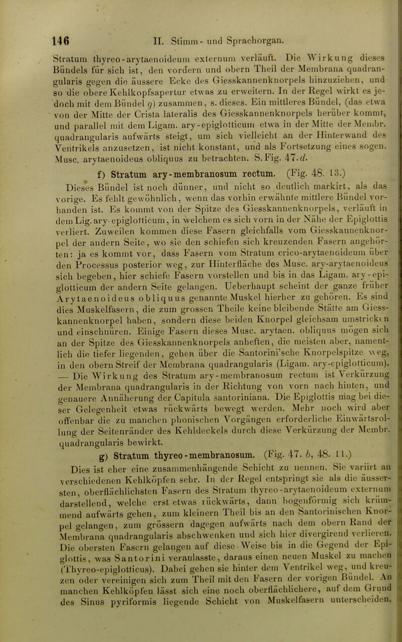 Stratum thyreo-arytaenoidcum externum verläuft. Die Wirkung di. Bündels für sich ist, den vordem und obern Theil der Membrana quadran- gularis gegen die äussere Ecke des Giesskannenknorpels hinzuziehen, und so die obere Kehlkopfsapertur etwas zu erweitern. In der Regel wirkt es je- doch mit dem Bündel g) zusammen, s. dieses. Ein mittleres Bündel, (das etwä von der Mitte der Crista lateralis des Giesskannenknorpels herüber kommt, und parallel mit dem Ligam. ary-epiglotticum etwa in der Mitte derMembr. quadrangularis aufwärts steigt, um sich vielleicht an der Hinterwand dea Ventrikels anzusetzen, ist nicht konstant, und als Fortsetzung eines sogen. Muse, arytaenoideus obliquus zu betrachten. S. Fig. A7.d. f) Stratum ary - membranosum rectum. (Fig. 48. 13.) Dieses Bündel ist noch dünner, und nicht so deutlich markirt, als das vorige. Es fehlt gewöhnlich, wenn das vorhin erwähnte mittlere Bündel vor- handen ist. Es kommt von der Spitze des Giesskannenknorpels, verläuft in demLig.ary-epiglotticum, in welchem es sich vorn in der Nähe der Epiglottis verliert. Zuweilen kommen diese Fasern gleichfalls vom Giesskannenknor- pel der andern Seite, wo sie den schiefen sich kreuzenden Fasern angehör- ten: ja es kommt vor, dass Fasern vom Stratum crico-arytaenoideum über den Processus posterior weg, zur HinterBäche des Muse, ary-arytaenoideus sich begeben, hier schiefe Fasern vorstellen und bis in das Ligam. ary-epi- glotticum der andern Seite gelangen. Ueberhaupt scheint der ganze früher Arytaenoideus obliquus genannte Muskel hierher zu gehören. Es sind dies Muskelfasern, die zum grossen Theile keine bleibende Stätte am Giess- kannenknorpel haben, sondern diese beiden Knorpel gleichsam umstrickt n und einschnüren. Einige Fasern dieses Muse, arytaen. obliquus mögen sich an der Spitze des Giesskannenknorpels anheften, die meisten aber, nament- lich die tiefer liegenden, gehen über die Santorini'sche Knorpelspitze w eg, in den obern Streif der Membrana quadrangularis (Ligam. ary-epiglotticum). — Die Wirkung des Stratum ary-membranosum rectum ist Verkürzung der Membrana quadrangularis in der Richtung von vorn nach hinten, und genauere Annäherung der Capitula santoriniana. Die Epiglottis mag bei die- ser Gelegenheit etwas rückwärts bewegt werden. Mehr noch wird aber offenbar die zu manchen phonischen Vorgängen erforderliche Einwärtsrol- lung der Seitenränder des Kehldeckels durch diese Verkürzung der Membr. quadrangularis bewirkt. g) Stratum thyreo - membranosum. (Fig. 47. b, 48. 11.) Dies ist. eher eine zusammenhängende Schicht zu nennen. Sie variirt an verschiedenen Kehlköpfen sehr. In der Regel entspringt sie als die aussen sten, oberflächlichsten Fasern des Stratum thyreo-arytaenoideum externum darstellend, welche erst etwas rückwärts, dann bogenförmig sich krüm- mend aufwärts gehen, zum kleinern Theil bis an den Santorinisehen Knor- pel gelangen, zum grössern dagegen aufwärts nach dem obern Rand der Membrana quadrangularis abschwenken und sich hier divergirend verliere« Die obersten Fasern gelangen auf diese Weise bis in die Gegend der Epi- glottis, was Santorini veranlasste, daraus einen neuen Muskel zu machen (Thyreo-epiglotticus). Dabei gehen sie hinter dem Ventrikel weg . und kreu- zen oder vereinigen sich zum Theil mit den Fasern der vorigen Bündel. An manchen Kehlköpfen lässt sich eine noch oberflächlichere, auf dem Grund des Sinus pyriformis liegende Schicht von Muskelfasern unterscheiden,