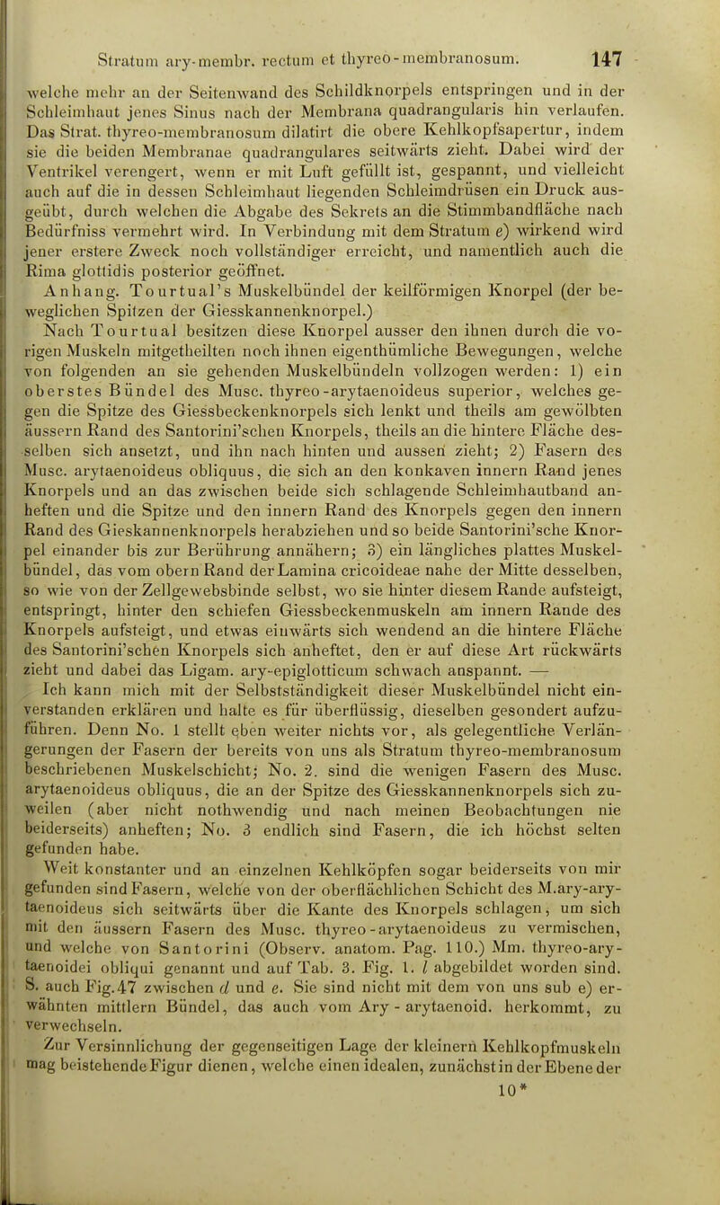 welche mein- an der Seitenwand des Schildknorpels entspringen und in der Schleimhaut jenes Sinus nach der Membrana quadrangularis hin verlaufen. Das Strat. thyreo-membranosum dilatirt die obere Kehlkopfsapertur, indem sie die beiden Membranae quadrangulares seitwärts zieht. Dabei wird' der Ventrikel verengert, wenn er mit Luft gefüllt ist, gespannt, und vielleicht auch auf die in dessen Schleimhaut liegenden Schleimdrüsen ein Druck aus- geübt, durch welchen die Abgabe des Sekrets an die Stimmbandfläche nach Bedürfniss vermehrt wird. In Verbindung mit dem Stratum e) wirkend wird jener erstere Zweck noch vollständiger erreicht, und namentlich auch die Rima glottidis posterior geöffnet. Anhang. Tourtual's Muskelbündel der keilförmigen Knorpel (der be- weglichen Spitzen der Giesskannenknorpel.) Nach Tourtual besitzen diese Knorpel ausser den ihnen durch die vo- rigen Muskeln mitgetheilten noch ihnen eigenthümliche Bewegungen, welche von folgenden an sie gehenden Muskelbündeln vollzogen werden: 1) ein oberstes Bündel des Muse, thyreo-arytaenoideus superior, welches ge- gen die Spitze des Giessbeckenknorpels sich lenkt und theils am gewölbten äussern Rand des Santorini'schen Knorpels, theils an die hintere Fläche des- selben sich ansetzt, und ihn nach hinten und aussen zieht; 2) Fasern des Muse, arytaenoideus obliquus, die sich an den konkaven innern Ra-nd jenes Knorpels und an das zwischen beide sich schlagende Schleimhautband an- heften und die Spitze und den innern Rand des Knorpels gegen den innern Rand des Gieskannenknorpels herabziehen und so beide Santorini'sche Knor- pel einander bis zur Berührung annähern; 3) ein längliches plattes Muskel- bündel, das vom obern Rand derLamina crieoideae nahe der Mitte desselben, so wie von der Zellgewebsbinde selbst, wo sie hinter diesem Rande aufsteigt, entspringt, hinter den schiefen Giessbeckenmuskeln am innern Rande des Knorpels aufsteigt, und etwas einwärts sich wendend an die hintere Fläche des Santorini'schen Knorpels sich anheftet, den er auf diese Art rückwärts zieht und dabei das Ligam. ary-epiglotticum schwach anspannt. — Ich kann mich mit der Selbstständigkeit dieser Muskelbündel nicht ein- verstanden erklären und halte es für überflüssig, dieselben gesondert aufzu- führen. Denn No. 1 stellt eben weiter nichts vor, als gelegentliche. Verlän- gerungen der Fasern der bereits von uns als Stratum thyreo-membranosum beschriebenen Muskelschicht; No. 2. sind die wenigen Fasern des Muse, arytaenoideus obliquus, die an der Spitze des Giesskannenknorpels sich zu- weilen (aber nicht nothwendig und nach meinen Beobachtungen nie beiderseits) anheften; No. 3 endlich sind Fasern, die ich höchst selten gefunden habe. Weit konstanter und an einzelnen Kehlköpfen sogar beiderseits von mir gefunden sind Fasern, welche von der oberflächlichen Schicht des M.ary-ary- taenoideus sich seitwärts über die Kante des Knorpels schlagen, um sich mit den äussern Fasern des Muse, thyreo-arytaenoideus zu vermischen, und welche von Santorini (Observ. anatom. Pag. 110.) Mm. thyreo-ary- taenoidei obliqui genannt und auf Tab. 3. Fig. I. / abgebildet worden sind. S. auch Fig. 47 zwischen d und e. Sie sind nicht mit dem von uns sub e) er- wähnten mittlem Bündel, das auch vom Ary - arytaenoid. herkommt, zu verwechseln. Zur Versinnlichung der gegenseitigen Lage der klcinern Kehlkopfmuskeln mag beistehende Figur dienen, welche einen idealen, zunächst in der Ebene der 10*