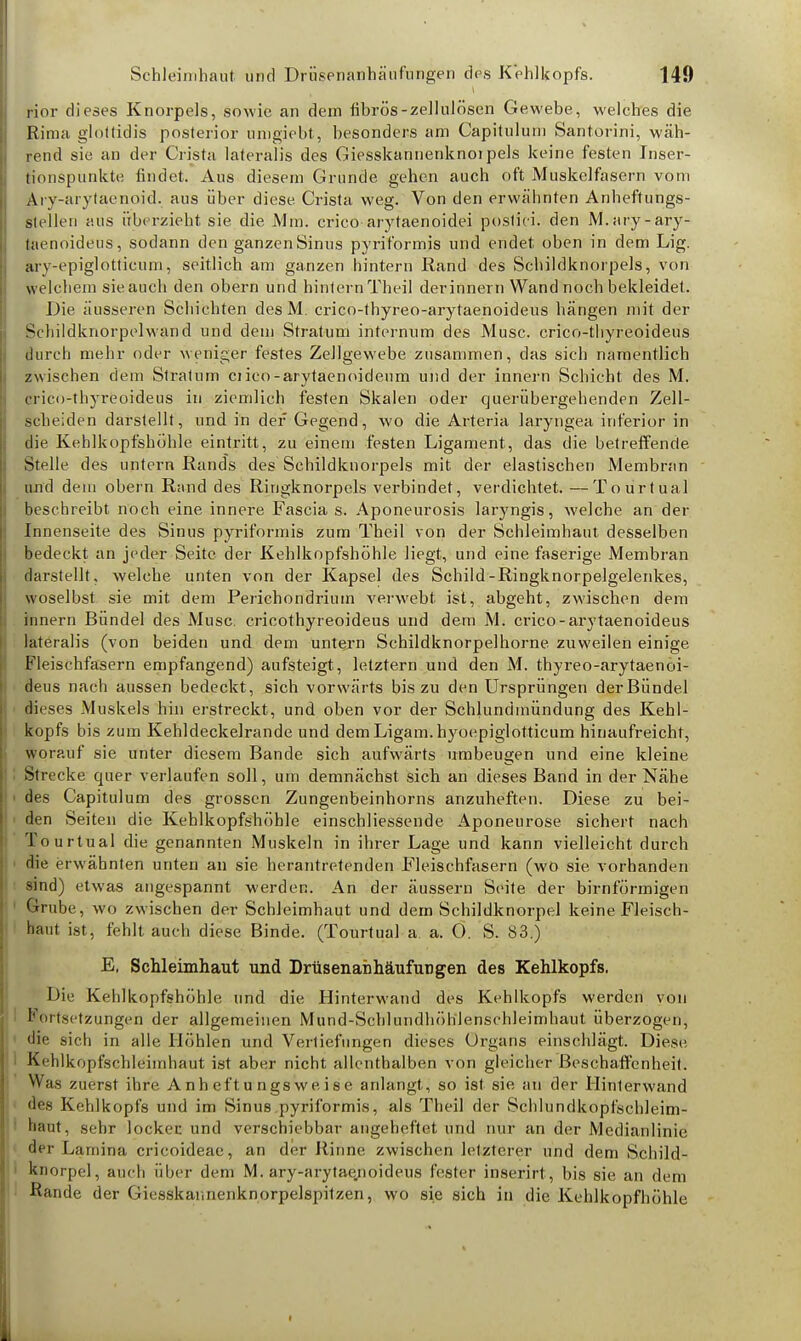 rior dieses Knorpels, sowie an dem fibrös-zellulösen Gewebe, welches die Rima gloüidis posterior umgiebt, besonders am Capitulum Santorini, wäh- rend sie an der Crista lateralis des Giesskannenknoipels keine festen Inser- tionsp unkte findet. Aus diesem Grunde gehen auch oft Muskelfasern vom Ary-aiylaenoid. aus über diese. Crista weg. Von den erwähnten Anheftungs- Itellen aus überzieht sie die Mm. crico arytaenoidei postici. den M.ary-ary- taenoideus, sodann den ganzen Sinus pyriformis und endet oben in dem Lig. arv-epiglotticum, seitlich am ganzen hintern Rand des Schildknorpels, von welcbem sie auch den obern und hintern Theil derinnern Wand noch bekleidet. Die äusseren Schichten des M. crico-thyreo-arytaenoideus hängen mit der Schildknorpelwand und dem Stratum internum des Muse, crico-thyreoideus durch mehr oder weniger festes Zellgewebe zusammen, das sich namentlich zwischen dem Stratum ciico-arytaenoideum und der Innern Schicht des M. Bneb-tbyreoideus in ziemlich festen Skalen oder cjuerübergehenden Zell- scheiden darstellt, und in der Gegend, wo die Arteria laryngea inferior in die Kehlkopfshöhle eintritt, zu einem festen Ligament, das die betreffende Stelle des untern Rands des Schildknorpels mit der elastischen Membran und dem obern Rand des Ringknorpels verbindet, verdichtet. —Tourtual beschreibt noch eine innere Fascia s. Aponeurosis laryngis, welche an der Innenseite des Sinus pyriformis zum Theil von der Schleimhaut desselben bedeckt an jeder Seite der Kehlkopfshöhle liegt, und eine faserige Membran darstellt, welche unten von der Kapsel des Schild-Ringknorpelgelenkes, woselbst sie mit dem Perichondriuin verwebt, ist, abgeht, zwischen dem innern Bündel des Muse, cricothyreoideus und dem M. crico - arytaenoideus lateralis (von beiden und dem untern Schildknorpelhorne. zuweilen einige Fleischfasern empfangend) aufsteigt, letztern und den M. thyreo-arytaenoi- deus nach aussen bedeckt, sich vorwärts bis zu den Ursprüngen der Bündel dieses Muskels hin erstreckt, und oben vor der Schjundmündung des Kehl- kopfs bis zum Kehldeckelrande und dem Ligam.hyoepiglotticum hinaufreicht, worauf sie unter diesem Bande sich aufwärts umbeugen und eine kleine Strecke quer verlaufen soll, um demnächst sich an dieses Band in der Nähe des Capitulum des grossen Zungenbeinhorns anzuheften. Diese zu bei- den Seiten die Kehlkopfshöhle einschliessende Aponeurose sichert nach Tourtual die genannten Muskeln in ihrer Lage und kann vielleicht durch die erwähnten unten an sie herantretenden Fleischfasern (wo sie vorhanden sind) etwas angespannt werden. An der äussern Seite der birnförmigen Grube, wo zwischen der Schleimhaut und dem Schildknorpel keine Fleisch- haut ist, fehlt auch diese Binde. (Tourtual a a. O. S. 83.) E, Schleimhaut und Drüsenanhäufimgen des Kehlkopfs. Die Kehlkopfshöhle und die Hinterwand des Kehlkopfs werden von Fortsetzungen der allgemeinen Mund-Schlundhölilenschleimhaut überzogen, die sich in alle Höhlen und Vertiefungen dieses Organs einschlägt. Diese Kehlkopfschleimhaut ist aber nicht allenthalben von gleicher Beschaffenheit. Was zuerst ihre A n h eft u ngs we. i s e anlangt, so ist sie an der Hinterwand des Kehlkopfs und im Sinus pyriformis, als Theil der Schlundkopfschleim- haut, sehr locken und verschiebbar angeheftet und nur an der Medianlinie der Larnina crieoideae, an der Rinne zwischen letzterer und dem Schild- knorpel, auch über dem M. ary-arytaenoideus fester inserirt, bis sie an dem Rande der Giesskannenknorpelspitzen, wo sie sich in die Kehlkopfhöhle