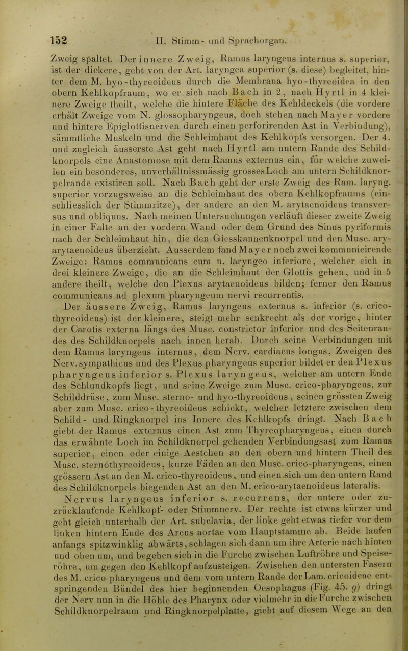 Zweig spaltet. Der innere Zweig, Ramus laryngeus internus s. superior, ist der dickere, geht von der Art. laryngea superior (s. diese) begleitet, hin- ter dein M. hyo-thyreoideus durch die Membrana hyo-thyreoidea in den obern Kehlkopfraum, wo er sich nach Bach in 2, nach Hyrtl in 4 klei- nere Zweige theilt, welche die hintere Fläche des Kehldeckels (die vordere erhält Zweige vom N. glossopharyngeus, doch stehen nach Mayer vordere und hintere Epiglottisnerven durch einen perforirenden Ast in Verbindung), sämmtliche Muskeln und die Schleimhaut des Kehlkopfs versorgen. Der 4. und zugleich äusserste Ast geht nach Hyrtl am untern Rande des Schild- knorpels eine Anastomose mit dem Ramus externus ein, für welche zuwei- len ein besonderes, unverhältnissmässig grossesLoch am untern Schildknor- pelrande existiren soll. Nach Bach geht der erste Zweig des Kam. laryng. superior vorzugsweise an die Schleimhaut des obern Kehlkopfrauins (ein- schliesslich der Stimmritze), der andere an den M. arytaenoideue transverr sus und obliquus. Nach meinen Untersuchungen verläuft dieser zweite Zweig in einer Falte an der vordem Wand oder dem Grund des Sinus piriformis nach der Schleimhaut hin, die den Giesskannenknorpel und den Muse, ary- arytaenoideus überzieht. Ausserdem fand Mayer noch zwei kommunicirende Zweige: Ramus communicans cum n. laryngeo inferiore, welcher sich in drei kleinere Zweige, die an die Schleimhaut der Glottis gehen, und in 5 andere theilt, welche den Plexus arytaenoideus bilden; ferner den Ramus communicans ad plexurn pharyngeum nervi recurrentis. Der äussere Zweig, Ramus laryngeus externus s. inferior (s. crico- thyreoideus) ist der kleinere, steigl mehr senkrecht als der vorige, hinter der Carotis externa läncs des Mu.se. constrictor inferior und des Seitenran- des des Schildknorpels nach innen herab. Durch seine Verbindungen mit dem Ramus laryngeus internus, dem Nerv, cardiacus longus, Zweigen des Nerv.sympathieus und des Plexus pharyngeus superior bildet er den Plexus pharyngeus inferior s. Plexus laryngeus, welcher am untern Ende des Schlundkopfs liegt, und seine Zweige zum Muse, crico-pharyngeus, zur Schilddrüse, zum Muse, sterno- und hyo-thyreoideus , seinen grössten Zweig aber zum Muse, crico-thyreoideus schickt, welcher letztere zwischen dem Schild- und Ringknorpel ins Innere des Kehlkopfs dringt. Nach Bach giebt der Ramus externus einen Ast zum Thyreopbaryngeus, einen durch das erwähnte Loch im Schildknorpel gehenden Verbindungsast zum Ramus superior, einen oder einige Aestchen an den obern und hintern Theil des Muse, sternothyreoideus, kurze Fäden an den Muse, crico-pharyngeus, einen grössern Ast an den M. crico-lhyreoideus, und einen sich um den untern Rand des Schildknorpels biegenden Ast an den M. crico-arytaenoideus lateralis. Nervus laryngeus inferior s. recurrens, der untere oder zu- zrüeklaufende Kehlkopf- oder Stimmnerv. Der rechte ist etwas kürzer und geht gleich unterhalb der Art. subclavia, der linke geht etwas tiefer vor dem linken hintern Ende des Arcus aortae vom Hauptstamine ab. Beide laufen anfangs spitzwinklig abwärts, schlagen sich dann um ihre Arterie nach hinten und oben um, und begeben sich in die Furche zwischen Luftröhre und Speise^ röhre, um gegen den Kehlkopf aufzusteigen. Zwischen den untersten Fasern des M. crico pharyngeus und dem vom untern Rande derLam. crieoideae ent- springenden Bündel des hier beginnenden Oesophagus (Fig. 45. g) dringt der Nerv nun in die Höhle des Pharynx oder vielmehr in die Furche zwischen Schildkuorpelraum und Ringknorpelplatte, giebt auf diesem Wege an den