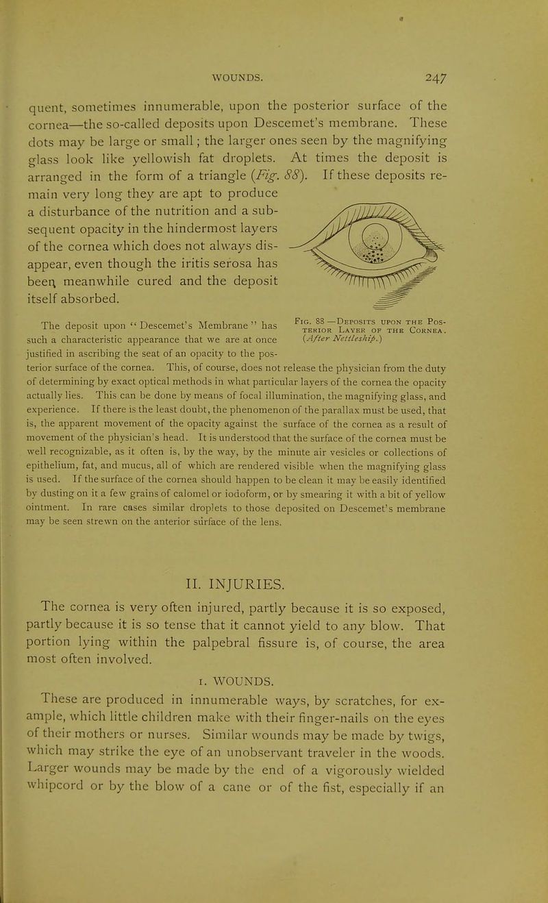 quent, sometimes innumerable, upon the posterior surface of the cornea—the so-called deposits upon Descemet's membrane. These dots may be large or small; the larger ones seen by the magnifying glass look like yellowish fat droplets. At times the deposit is arranged in the form of a triangle {Fig. 88). If these deposits re- main very long they are apt to produce a disturbance of the nutrition and a sub- sequent opacity in the hindermost layers of the cornea which does not always dis- appear, even though the iritis serosa has beer; meanwhile cured and the deposit itself absorbed. Fig —Deposits upon the Pos- terior Layer of the Cornea. [After Nettleship.) The deposit upon Descemet's Membrane has such a characteristic appearance that we are at once justified in ascribing the seat of an opacity to the pos- terior surface of the cornea. This, of course, does not release the physician from the duty of determining by exact optical methods in what particular layers of the cornea the opacity actually lies. This can be done by means of focal illumination, the magnifying glass, and experience. If there is the least doubt, the phenomenon of the parallax must be used, that is, the apparent movement of the opacity against the surface of the cornea as a result of movement of the physician's head. It is understood that the surface of the cornea must be well recognizable, as it often is, by the way, by the minute air vesicles or collections of epithelium, fat, and mucus, all of which are rendered visible when the magnifying glass is used. If the surface of the cornea should happen to be clean it may be easily identified by dusting on it a few grains of calomel or iodoform, or by smearing it with a bit of yellow ointment. In rare cases similar droplets to those deposited on Descemet's membrane may be seen strewn on the anterior surface of the lens. IL INJURIES. The cornea is very often injured, partly because it is so exposed, partly because it is so tense that it cannot yield to any blow. That portion lying within the palpebral fissure is, of course, the area most often involved. I. WOUNDS. These are produced in innumerable ways, by scratches, for ex- ample, which little children make with their finger-nails on the eyes of their mothers or nurses. Similar wounds may be made by twigs, which may strike the eye of an unobservant traveler in the woods. Larger wounds may be made by the end of a vigorously wielded whipcord or by the blow of a cane or of the fist, especially if an