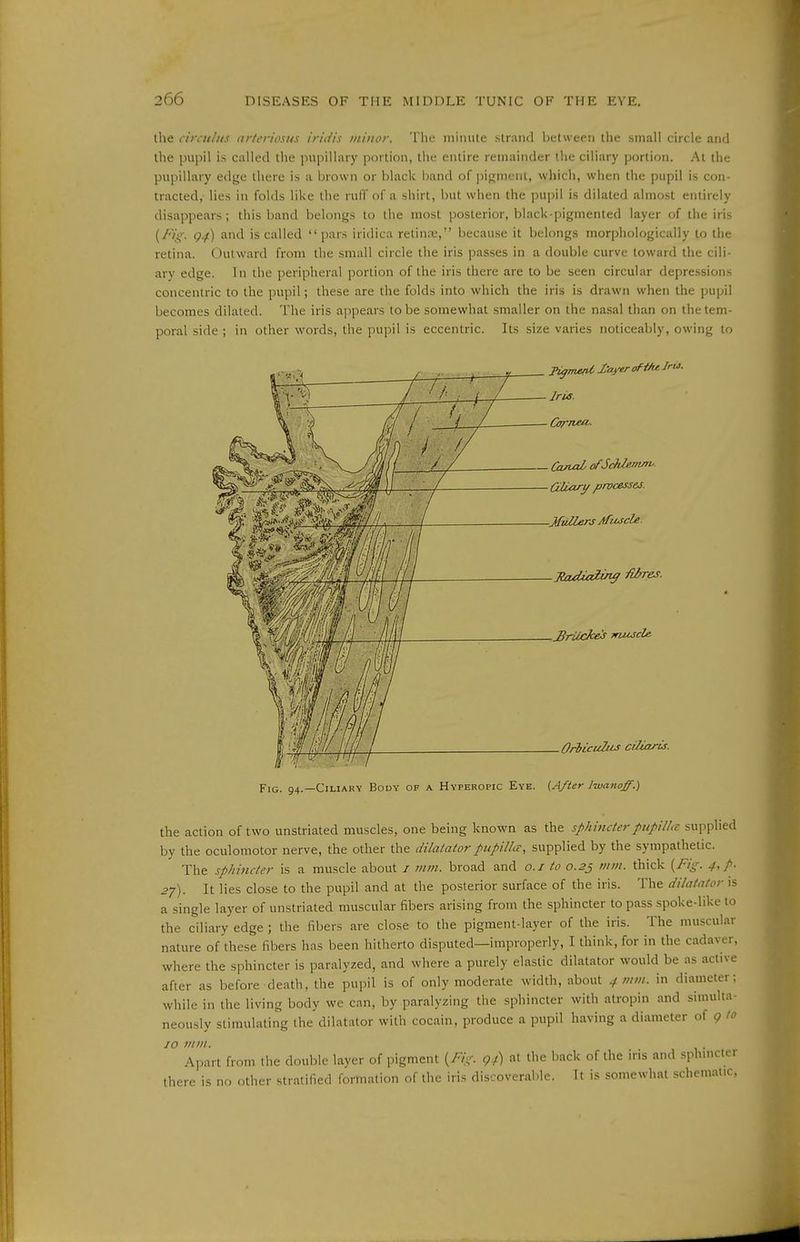 the circtdus arteriosus ir/W/'s minor. The mimile slraiul between the small circle and the pupil is called the pupillary portion, the entire remainder the ciliary portion. At the pupillary edge there is a brown or black band of pigment, which, when the pupil is con- tracted,- lies in folds like tlie ruff of a shirt, but when the pupil is dilated almost entirely disappears; this band belongs to the most posterior, black-pigmented layer of the iris {Fig. Q4) and is called pars iridica retime, because it belongs morphologically to the retina. Outward from the small circle the iris passes in a double curve toward the cili- ary edge. In the peripheral portion of the iris there are to be seen circular depressions concentric to the pupil; these are the folds into which the iris is drawn when the pupil becomes dilated. The iris appears tobe somewhat smaller on the nasal than on thetem- poi-al side; in other words, the pupil is eccentric. Its size varies noticeably, owing to Ti^imnC I'ayer oft/u Iru. Iris. Cornea^ Ccutal ofJc7tlem/rv. (jUartf processes■ XuUerj Afuscle. jtadialm^ Mres. JBrilcke^ mujcle. Orbicult/^ ciUarij. Fig. 94.—Ciliary Body of a Hyperopic Eye. (After hvanoff.) the action of two unstriated muscles, one being known as the sphincter piipilhc supplied by the oculomotor nerve, the other the dilatator pupillcv, supplied by the sympathetic. The sphincter is a muscle about i vim. broad and o.i to 0.23 mm. thick {Fig. 4,p- 27). It lies close to the pupil and at the posterior surface of the iris. The dilatator is a single layer of unstriated muscular fibers arising from the sphincter to pass spoke-like to the ciliary edge ; the fibers are close to the pigment-layer of the iris. The muscular nature of these fibers has been hitherto disputed—improperly, I think, for in the cadaver, where the sphincter is paralyzed, and where a purely elastic dilatator would be as active after as before death, the pupil is of only moderate width, about 4 mm. in diameter: while in the living body we can, by paralyzing the sphincter with atropin and simulta- neously stimulating the dilatator with cocain, produce a pupil having a diameter of g to JO mm. Apart from the double layer of pigment {Fig. g.f) at the back of the iris and sphmcter there is no other stratified formation of the iris discoverable. It is somewhat schematic.