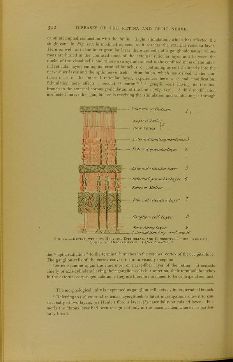 or uninterrupted connection with the brain. Light stimulation, whicli lias afTected the single cone in Fig. iii, is modified as soon as it reaches the external reticular layer. Here as well as in the inner granular layer there are cells of a ganglionic nature whose roots are buried in the confused mass of the external reticular layer and between the nuclei of the visual cells, and whose axis-cylinders lead to the confused mass of the inter- nal reticular layer, ending as terminal branches, or continuing as cell b directly into the nerve-fiber layer and the optic nerve itself. Stimulation, which has arrived at the con- fused mass of the internal reticular layer, experiences here a second modification. Stimulation here affects a second  neuron, i a ganglion-cell having its terminal branch in the external corpus geniculatum of the brain {Fig. iij). A third modification is effected here, other ganglion-cells receiving the stimulation and conducting it through Figment epi/Jielüuri^. Xayer ofJiot^s) anct Co/i&s Y ExternaZ luru-tm^ m^mirane. 3 Exter/utlgranular la^er. JjciernaZ re&cuZar la^er J Tnterruil granular layer 6 Fibers ofMiiMer. • JnierruiZ TvticulcLr layer 7 - Gan^lum/ cell l<zyer 8 — Jfcrt^e fibcns layer 9. _ T/ilernal,lt.fnUiy'^m^^mne./0 Fig. iio.—Retina, with its Nervous, Epithelial, and Connective-Tissue Elements. Somewhat Diagrammatic. (After Schultze.) = the  optic radiation  to the terminal branches in the cerebral cortex of the occipital lobe. The ganglion-cells of the cortex convert it into a visual perception. Let us examine again the innermost or nerve-fiber layer of the retina. It consists chiefly of axis-cylinders having their ganglion-cells in the retina, their terminal branches in the external corpus geniculatum ; they are therefore assumed to be centripetal conduct- ^ The morphological unity is expressed as ganglion-cell, axis-cylinder, terminal branch. 2 Referring to (j) external reticular layer, Stoehr's latest investigations show it to con- sist really of two layers, («) Henle's fibrous layer, {li) essentially reticulated layer. For- merly the fibrous layer had been recognized only at the macula lutea, where it is particu- larly broad.