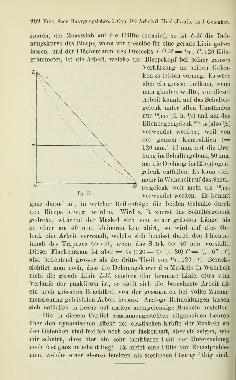 sparen, der Maassstab auf die Hälfte reducirt), so ist LM die Deh¬ nungskurve des Biceps, wenn wir dieselbe für eine gerade Linie gelten lassen, und der Flächenraum des Dreiecks LOM= V2. P. 120 Kilo¬ grammeter, ist die Arbeit, welche der Bicepskopf bei seiner ganzen Verkürzung an beiden Gelen¬ ken zu leisten vermag. Es wäre aber ein grosser Irrthum, wenn man glauben wollte, von dieser Arbeit könnte auf das Schulter¬ gelenk unter allen Umständen nur 40/i 20 (d. h. Vs) und auf das Ellenbogengelenk 80/i 20 (also 2/3) verwendet werden, weil von der ganzen Kontraktion (= 120 mm.) 40 mm. auf die Dre¬ hung im Schultergelenk, 80 mm. auf die Drehung im Ellenbogen¬ gelenk entfallen. Es kann viel¬ mehr in Wahrheit auf das Schul¬ tergelenk weit mehr als 40/i2o verwendet werden. Es kommt ganz darauf an, in welcher Reihenfolge die beiden Gelenke durch den Biceps bewegt werden. Wird z. B. zuerst das Schultergelenk gedreht, während der Muskel sich von seiner grössten Länge bis zu einer um 40 mm. kleineren kontrahirt, so wird auf dies Ge¬ lenk eine Arbeit verwandt, welche sich bemisst durch den Flächen¬ inhalt des Trapezes OrsM, wenn das Stück Or 40 mm. vorstellt. Dieser Flächenraum ist aber = 4/2 (120 — 2/3 X 80) P = V2.67 . P, also bedeutend grösser als der dritte Theil von V2.120. P. Berück¬ sichtigt man noch, dass die Dehnungskurve des Muskels in Wahrheit nicht die gerade Linie LM, sondern eine krumme Linie, etwa vom Verlaufe der punktirten ist, so stellt sich die berechnete Arbeit als ein noch grösserer Bruchtheil von der gesammten bei voller Zusam¬ menziehung geleisteten Arbeit heraus. Analoge Betrachtungen lassen sich natürlich in Bezug auf andere mehrgelenkige Muskeln anstellen. Die in diesem Capitel zusammengestellten allgemeinen Lehren über den dynamischen Effekt der elastischen Kräfte der Muskeln an den Gelenken sind freilich noch sehr lückenhaft, aber sie zeigen, wie mir scheint, dass hier ein sehr dankbares Feld der Untersuchung noch fast ganz unbebaut liegt. Es bietet eine Fülle von Einzelproble¬ men, welche einer ebenso leichten als zierlichen Lösung fähig sind.