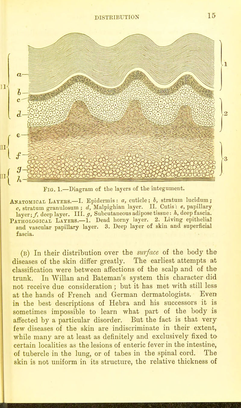 DISTRIBUTION Fig. 1.—Diagram of the layers of the integument. Anatomical Layebs.—I. Epidermis : a, cuticle ; b, stratum lucidum ; c, stratum granulosus ; d, Malpighian layer. II. Cutis': e, papillary layer;/, deep layer. III. g, Subcutaneous adipose tissue: h, deep fascia. Pathological Layers.—1. Dead horny layer. 2. Living epithelial and vascular papillary layer. 3. Deep layer of skin and superficial fascia. (b) In their distribution over the surface of the body the diseases of the skin differ greatly. The earliest attempts at classification were between affections of the scalp and of the trunk. In Willan and Bateman's system this character did not receive due consideration; but it has met with still less at the hands of French and German dermatologists. Even in the best descriptions of Hebra and his successors it is sometimes impossible to learn what part of the body is affected by a particular disorder. But the fact is that very few diseases of the skin are indiscriminate in their extent, while many are at least as definitely and exclusively fixed to certain localities as the lesions of enteric fever in the intestine, of tubercle in the lung, or of tabes in the spinal cord. The skin is not uniform in its structure, the relative thickness of