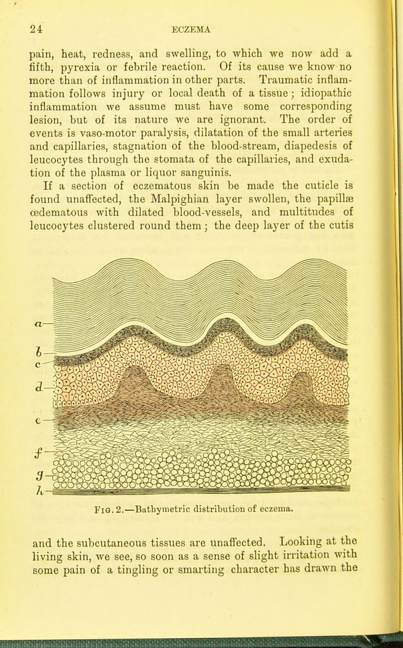 pain, heat, redness, and swelling, to which we now add a fifth, pyrexia or febrile reaction. Of its cause we know no more than of inflammation in other parts. Traumatic inflam- mation follows injury or local death of a tissue; idiopathic inflammation we assume must have some corresponding lesion, but of its nature we are ignorant. The order of events is vaso-motor paralysis, dilatation of the small arteries and capillaries, stagnation of the blood-stream, diapedesis of leucocytes through the stomata of the capillaries, and exuda- tion of the plasma or liquor sanguinis. If a section of eczematous skin be made the cuticle is found unaffected, the Malpighian layer swollen, the papillae oedematous with dilated blood-vessels, and multitudes of leucocytes clustered round them; the deep layer of the cutis Fig. 2.—Bathymetric distribution of eczema. and the subcutaneous tissues are unaffected. Looking at the living skin, we see, so soon as a sense of slight irritation with some pain of a tingling or smarting character has drawn the