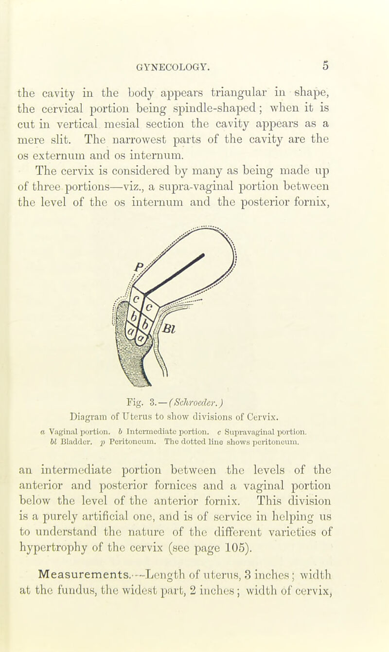 the cavity in the body appears triangular in shape, the cervical portion being spindle-shaped; when it is cut in vertical mesial section the cavity appears as a mere slit. The narrowest parts of the cavity are the os externum and os internum. The cervix is considered by many as being made up of three portions—viz., a supra-vaginal portion between the level of the os internum and the posterior fornix, Fig. 3. — (Schrocdcr.) Diagram of Uterus to show divisions of Cervix. a Vaginal portion, b Intermediate portion, c Supravaginal portion. bl Bladder, p Peritoneum. The dotted lino shows peritoneum. an intermediate portion between the levels of the anterior and posterior fornices and a vaginal portion below the level of the anterior fornix. This division is a purely artificial one, and is of service in helping us to understand the nature of the different varieties of hypertrophy of the cervix (see page 105). Measurements. Length of uterus, 3 inches; width at the fundus, the widest part, 2 inches ; width of cervix,