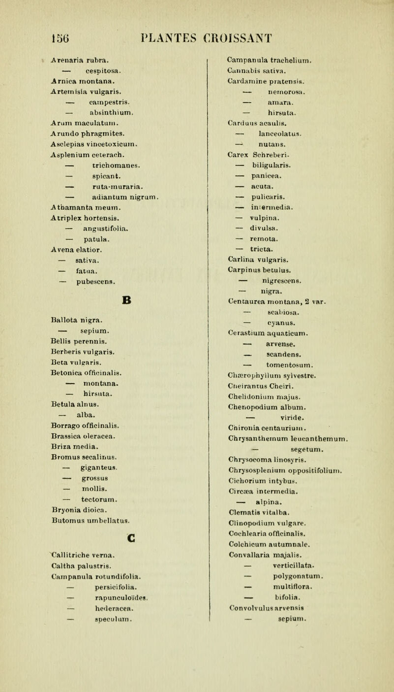 Arenaria rubra. — cespitosa. Arnica inontana. Artemisia vulgaris. — eampestris. — absinthium. Arum maculatum. Arundo phragmites. Asclepias vinoetoxicuin. Asplenium ceterach. — trichomanes. — spieant. — ruta-muraria. — adiantum nigrum. Athamanta meum. Atriplex hortensia. — angustifolia. — patula. Avena elatior. — sativa. — fatua. — pubescens. B Ballota nigra. — sepium. Bellis perennis. Berheris vulgaris. Beta vulsraris. Betonica officinalis. — inontana. — hirsuta. Betula alnus. — alba. Borrago officinalis. Brassica oleracea. Briza média. Bromus secalinus. — giganteus. — grossus — mollis. — tectorum. Bryonia dioica. Butomus umbellatus. G Callitriche verna. Caltha palustris. (Jampanula rotundifolia. — persicifolia. — rapunculoïdes. — hederacea. — spéculum. Campanula trachelium. Cardamine piatensis. — neinorosa. — amara. — hirsuta. Carduus acaulis. — lanceolatus. — nutans. Carex Schreberi. — biligularis. — panicea. — acuta. — pulicaris. — iniermedia. — vulpina. — divulsa. — remota. — tricta. Carlir.a vulgaris. Carpinus betulus. — nigrescens. — nigra. C'entaurea montana, 2 var. — scabiosa. — cyanus. Cerastium aquaticum. — arvense. — seandens. — tomentosum. Cliœrophyllum sylvestre. Cneirantus Cheiri. Chelidonium majus. Chenopodium album. — viride. Chironia centauriuin. Chrysanthemum leucanthemum. — segetum. Chrysocoma linosyris. Chrysosplenium oppositifolium. C'ichorium intybus. Circsea intermedia. — alpina. Clematis vitalba. Clinopodium vulgare. Cochlearia officinalis. Colchicum autumnale. Convallaria majalis. — verticillata. — polygonatum. — multiflora. — bifolia. Convolvulusarvensis — sepium.