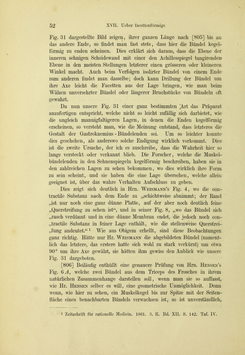 Fig. 31 dargestellte Bild zeigen, ihrer ganzen Länge nach [805] bis an das andere Ende, so findet man fast stets, dass hier die Bündel kegel- förmig zu enden scheinen. Dies erklärt sich daraus, dass die Ebene der inneren sehnigen Scheidewand mit einer den Achillesspiegel tangirenden^ Ebene in den meisten Stellungen letzterer einen grösseren oder kleineren Winkel macht. Auch beim Verfolgen isohrter Bündel von einem Ende zum anderen findet man dasselbe; doch kann DrilLung der Bündel um ihre Axe leicht die Eacetten aus der Lage bringen, wie man beim^ Wälzen unversehrter Bündel oder längerer Bruchstücke von Bündeln oft gewahrt. Da nun unsere Fig. 31 einer ganz bestimmten [Art das Präparat anzufertigen entspricht, welche nicht so leicht zufälhg sich darbietet, wie die ungleich mannigfaltigeren Lagen, in denen die Enden kegelförmig erscheinen, so versteht man, wie die Meinung entstand, dass letzteres die Gestalt der Gastroknemius - Bündelenden sei. Um so leichter konnte dies geschehen, als anderswo solche Endigung wirklich vorkommt. Dies ist die zweite Ursache, der ich es zuschreibe, dass die Wahrheit hier so lange versteckt oder verkannt blieb. Die Forscher, welche die Muskel- bündelenden in den Sehnenspiegeln kegelförmig beschreiben, haben sie in den zahlreichen Lagen zu sehen bekommen, wo dies wirklich ihre Form~ zu sein scheint, und sie haben die eine Lage übersehen, welche allein geeignet ist, über das wahre Yerhalten Aufschluss zu geben. Dies zeigt sich deuthch in Hm. Weismann's Fig. 4, wo die con- tractüe Substanz nach dem Ende zu „schichtweise abnimmt; der Eand „ist nur noch eine ganz dünne Platte, auf der aber noch deuthch feine „Querstreifung zu sehen ist, und in seiner Fig. 8, „wo das Bündel sich „rasch verdünnt und in eine dünne Membran endet, die jedoch noch con- „tractile Substanz in feiner Lage enthält, wie die stellenweise Querstrei- „fung andeutet.^ Wie aus Obigem erhellt, sind diese Beobachtungen ganz richtig. Hätte nur Hr. Weismann die abgebildeten Bündel (nament- lich das letztere, das erstere hatte sich wohl zu stark verkürzt) um etwa 90^ um ihre Axe gewälzt, sie hätten ihm gewiss den Anblick wie unsere Fig. 31 dargeboten. [806] Beiläufig enthüllt eine genauere Prüfung von Hrn. Hensen's Fig. QA, welche zwei Bündel aus dem Triceps des Frosches in ihrem natürlichen Zusammenhange darstellen soll, wenn man sie so auffasst, wie Hr. Bensen selber es w^ill, eine geometrische Unmöghchkeit. Denn wenn, wie hier zu sehen, ein Muskelkegel bis zur Spitze mit der Seiten- fläche eines benachbarten Bündels verwachsen ist, so ist unverständhch,. 1 Zeitschrift für rationelle Medicin. 1861. 3. E. Bd. XII. S. 142. Taf. IV.