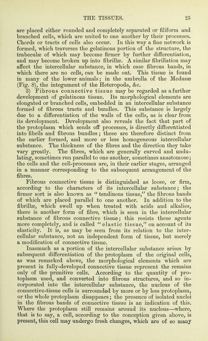 are placed either rounded and completely separated or filiform and branched cells, wliicli are united to one another by their processes. Chords or tracts of cells also occur. In this way a fine network is formed, which traverses the gelatinous portion of the structure, the trabeculse of which may become firmer by further differentiation, and may become broken up into fibrillse. A similar fibrillation may affect the intercellular substance, in which case fibrous bands, in which there are no cells, can be made out. This tissue is found in many of the lower animals; in the umbrella of the Medusae (Fig. 8), the integument of the Heteropoda, &c. 3) Fibrous connective tissue maybe regarded as a further development of gelatinous tissue. Its morphological elements are elongated or branched cells, embedded in an intercellular substance formed of fibrous tracts and bundles. This substance is largely due to a differentiation of the walls of the cells, as is clear from its development. Development also reveals the fact that part of the protoplasm which sends off processes, is directly differentiated into fibrils and fibrous bundles; these are therefore distinct from the earlier formed, and more or less homogeneous intercellular substance. The thickness of the fibres and the direction they take vary greatly. The fibres, which are generally curved and undu- lating, sometimes run parallel to one another, sometimes anastomose; the cells and the cell-processes are, in their earlier stages, arranged in a manner corresponding to the subsequent arrangement of the fibres. Fibrous connective tissue is distinguished as loose, or firm, according to the characters of its intercellular substance; the firmer sort is also known as tendinous tissue,'^ the fibrous bands of which are placed parallel to one another. In addition to the fibrillse, which swell up when treated with acids and alkalies, there is another form of fibre, which is seen in the intercellular substance of fibrous connective tissue; this resists these agents more completely, and is called elastic tissue,^^ on account of its elasticity. It is, as may be seen from its relation to the inter- cellular substance, not an independent form of tissue, but merely a modification of connective tissue. Inasmuch as a portion of the intercellular substance arises by subsequent differentiation of the protoplasm of the original cells, as was remarked above, the morphological elements which are present in fully-developed connective tissue represent the remains only of the primitive cells. According to the quantity of pro- toplasm used, and converted into fibrous structures, and so in- corporated into the intercellular substance, the nucleus of the connective-tissue cells is surrounded by more or by less protoplasm, or the whole protoplasm disappears; the presence of isolated nuclei in the fibrous bands of connective tissue is an indication of this. Where the protoplasm still remains around its nucleus—where, that is to say, a cell, according to the conception given above, is present, this cell may undergo fresh changes, which are of so many