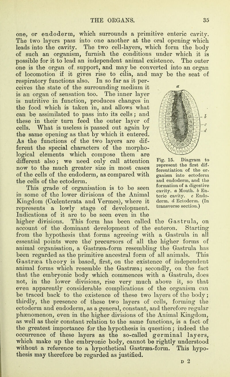 one^ or endoderm, whicli surrounds a primitive enteric cavity. The two layers pass into one another at the oral opening which leads into the cavity. The two cell-layers, which form the body of such an organism, furnish the conditions under which it is possible for it to lead an independent animal existence. The outer one is the organ of support, and may be converted into an organ of locomotion if it gives rise to cilia, and may be the seat of respiratory functions also. In so far as it per- ceives the state of the surrounding medium it is an organ of sensation too. The inner layer is nutritive in function, produces changes in the food which is taken in, and allows what can be assimilated to pass into its cells; and these in their turn feed the outer layer of cells. What is useless is passed out again by the same opening as that by which it entered. As the functions of the two layers are dif- ferent the special characters of the morpho- logical elements which compose them are different also; we need only call attention now to the much greater size in most cases of the cells of the endoderm, as compared with the cells of the ectoderm. This grade of organisation is to be seen iu some of the lower divisions of the Animal Kingdom (Coelenterata and Vermes), where it represents a lowly stage of development. Indications of it are to be seen even in the higher divisions. This form has been called the Grastrula, on account of the dominant development of the enteren. Starting from the hypothesis that forms agreeing with a Grastrula in all essential points were the precursors of all the higher forms of animal organisation, a Gastrsea-form resembling the Gastrula has been regarded as the primitive ancestral form of all animals. This Gastr^a theory is based, first, on the existence of independent animal forms which resemble the Gastraea; secondly, on the fact that the embryonic body which commences with a Gastrula, does not, in the lower divisions, rise very much above it, so that even apparently considerable complications of the organism can be traced back to the existence of these two layers of the body; thirdly, the presence of these two layers of cells, forming the ectoderm and endoderm, as a general, constant, and therefore regular phsenomenon, even in the higher divisions of the Animal Kingdom, as well as their constant relation to the same functions, is a fact of the greatest importance for the hypothesis in question; indeed the occurrence of these layers as the so-called germinal layers, which make up the embryonic body, cannot be rightly understood without a reference to a hypothetical Gastreea-form. This hypo- thesis may therefore be regarded as justified. D 2 Fig. 15. Diagram to represent the first dif- ferentiation of the or- ganism into ectoderm and endoderm, and the formation of a digestive cavity, a Mouth. 1 En- teric cavity, c Endo- derm, d Ectoderm. (In transverse section.)
