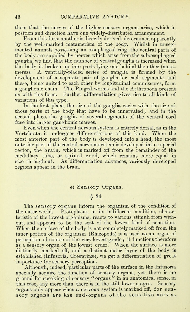 them that the nerves of the higher sensory organs arise, which in position and direction have one widely-distributed arrangement. From this form another is directly derived, determined apparently by the well-marked metamerism of the body. Whilst in unseg- mented animals possessing an oesophageal ring, the ventral parts of the body are supplied by nerves which arise from the suboesophageal ganglia, we find that the number of ventral ganglia is increased when the body is broken up into parts lying one behind the other (meta- meres). A ventrally-placed series of ganglia is formed by the development of a separate pair of ganglia for each segment; and these, being united to each other by longitudinal commissures, form a ganglionic chain. The Einged worms and the Arthropoda present us with this form. Further differentiation gives rise to all kinds of variations of this type. In the first place, the size of the ganglia varies with the size of those parts of the body that have to be innervated; and in the second place, the ganglia of several segments of the ventral cord fuse into larger ganglionic masses. Even when the central nervous system is entirely dorsal, as in the Vertebrata, it undergoes differentiations of this kind. When the most anterior part of the body is developed into a head, the most anterior part of the central nervous system is developed into a special region, the brain, which is marked off from the remainder of the medullary tube, or spinal cord, which remains more equal in size throughout. As differentiation advances, variously developed regions appear in the brain. e) Sensory Organs. § 36. The sensory organs inform the organism of the condition of the outer world. Protoplasm, in its indifferent condition, charac- teristic of the lowest organisms, reacts to various stimuli from with- out, and appears to be the seat of the lowest kind of sensation. When the surface of the body is not completely marked off from the inner portion of the organism (Rhizopoda) it is used as an organ of perception, of course of the very lowest grade ; it functions therefore as a sensory organ of the lowest order. When the surface is more distinctly marked off, and a distinct outer layer of the body is established (Infusoria, Gregarinse), we get a differentiation of great importance for sensory perception. Although, indeed, particular parts of the surface in the Infusoria specially acquire the function of sensory organs, yet there is no ground for speaking of sensory organs in an anatomical sense, in this case, any more than there is in the still lower stages. Sensory organs only appear when a nervous system is marked off, for sen- sory organs are the end-organs of the sensitive nerves.