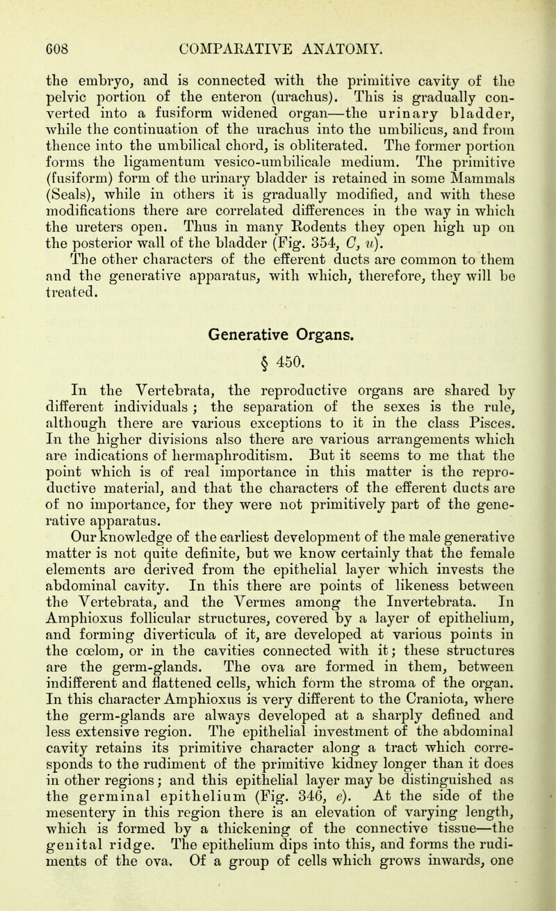 the embryo, and is connected with, the primitive cavity of the pelvic portion of the enteren (urachus). This is gradually con- verted into a fusiform widened organ—the urinary bladder, while the continuation of the urachus into the umbilicus, and from thence into the umbilical chord, is obliterated. The former portion forms the ligamentum vesico-umbilicale medium. The primitive (fusiform) form of the urinary bladder is retained in some Mammals (Seals), while in others it is gradually modified, and with these modifications there are correlated differences in the way in which the ureters open. Thus in many Rodents they open high up on the posterior wall of the bladder (Fig. 354, C, u). The other characters of the efferent ducts are common to them and the generative apparatus, with which, therefore, they will be treated. Generative Organs. § 450. In the Vertebrata, the reproductive organs are shared by different individuals ; the separation of the sexes is the rule, although there are various exceptions to it in the class Pisces. In the higher divisions also there are various arrangements which are indications of hermaphroditism. But it seems to me that the point which is of real importance in this matter is the repro- ductive material, and that the characters of the efferent ducts are of no importance, for they were not primitively part of the gene- rative apparatus. Our knowledge of the earliest development of the male generative matter is not quite definite, but we know certainly that the female elements are derived from the epithelial layer which invests the abdominal cavity. In this there are points of likeness between the Vertebrata, and the Vermes among the Invertebrata. In Amphioxus follicular structures, covered by a layer of epithelium, and forming diverticula of it, are developed at various points in the coelom, or in the cavities connected with it; these structures are the germ-glands. The ova are formed in them, between indifferent and flattened cells, which form the stroma of the organ. In this character Amphioxus is very different to the Craniota, where the germ-glands are always developed at a sharply defined and less extensive region. The epithelial investment of the abdominal cavity retains its primitive character along a tract which corre- sponds to the rudiment of the primitive kidney longer than it does in other regions; and this epithelial layer may be distinguished as the germinal epithelium (Fig. 346, e). At the side of the mesentery in this region there is an elevation of varying length, which is formed by a thickening of the connective tissue—the genital ridge. The epithelium dips into this, and forms the rudi- ments of the ova. Of a group of cells which grows inwards, one