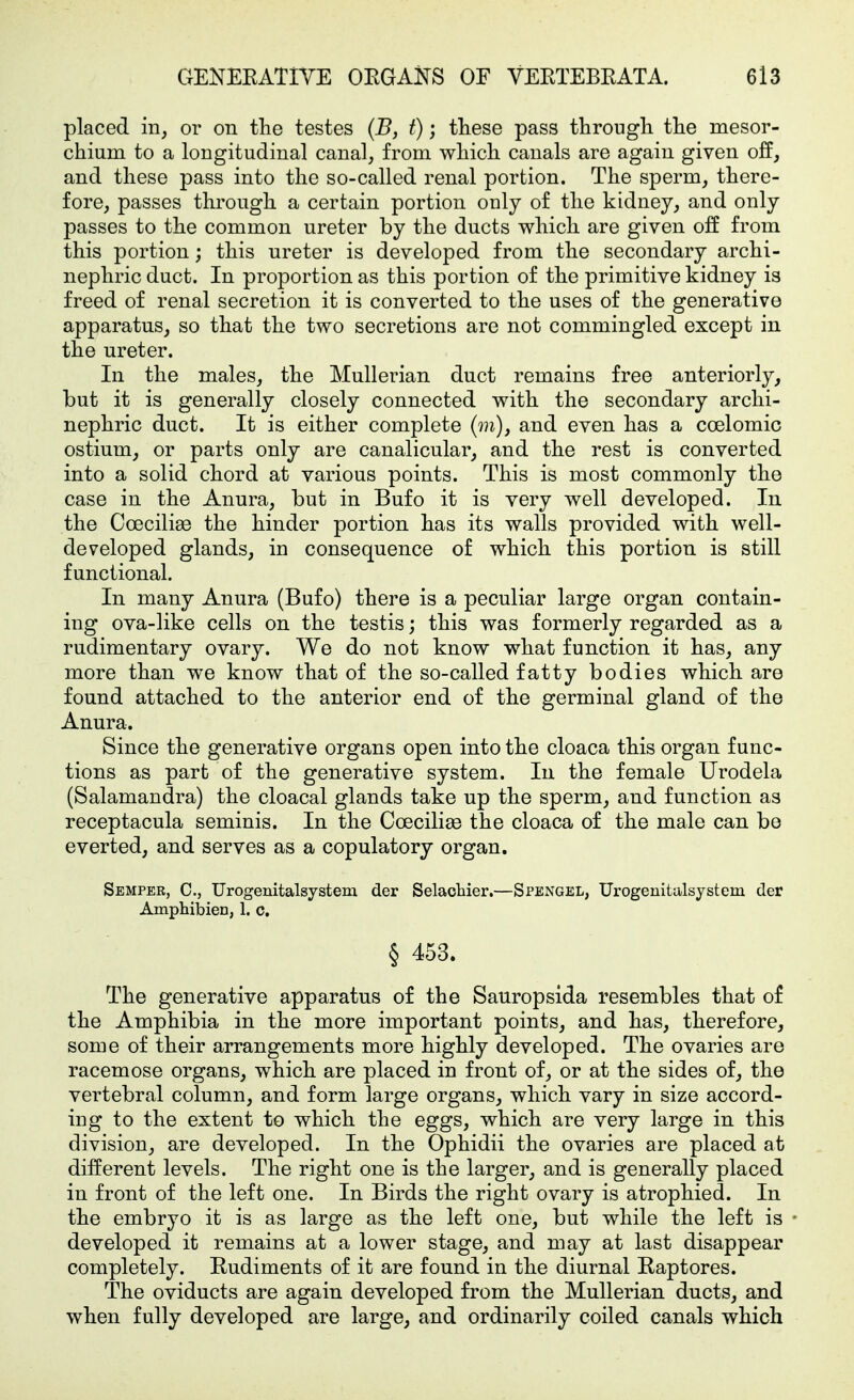 placed in, or on the testes (B, t); these pass through the mesor- chium to a longitudinal canal, from which canals are again given off, and these pass into the so-called renal portion. The sperm, there- fore, passes through a certain portion only of the kidney, and only passes to the common ureter by the ducts which are given off from this portion; this ureter is developed from the secondary archi- nephric duct. In proportion as this portion of the primitive kidney is freed of renal secretion it is converted to the uses of the generative apparatus, so that the two secretions are not commingled except in the ureter. In the males, the Mullerian duct remains free anteriorly, but it is generally closely connected with the secondary archi- nephric duct. It is either complete and even has a coelomic ostium, or parts only are canalicular, and the rest is converted into a solid chord at various points. This is most commonly the case in the Anura, but in Bufo it is very well developed. In the Coecili^ the hinder portion has its walls provided with well- developed glands, in consequence of which this portion is still functional. In many Anura (Bufo) there is a peculiar large organ contain- ing ova-like cells on the testis; this was formerly regarded as a rudimentary ovary. We do not know what function it has, any more than we know that of the so-called fatty bodies which are found attached to the anterior end of the germinal gland of the Anura. Since the generative organs open into the cloaca this organ func- tions as part of the generative system. In the female Urodela (Salamandra) the cloacal glands take up the sperm, and function as receptacula seminis. In the Coecilise the cloaca of the male can bo everted, and serves as a copulatory organ. Semper, C, Urogenitalsystem der Selachier.—Spengel, Urogenitalsystem der Amphibien, 1. c. § 453. The generative apparatus of the Sauropsida resembles that of the Amphibia in the more important points, and has, therefore, some of their arrangements more highly developed. The ovaries are racemose organs, which are placed in front of, or at the sides of, the vertebral column, and form large organs, which vary in size accord- ing to the extent to which the eggs, which are very large in this division, are developed. In the Ophidii the ovaries are placed at different levels. The right one is the larger, and is generally placed in front of the left one. In Birds the right ovary is atrophied. In the embryo it is as large as the left one, but while the left is developed it remains at a lower stage, and may at last disappear completely. Budiments of it are found in the diurnal Kaptores. The oviducts are again developed from the Mullerian ducts, and when fully developed are large, and ordinarily coiled canals which