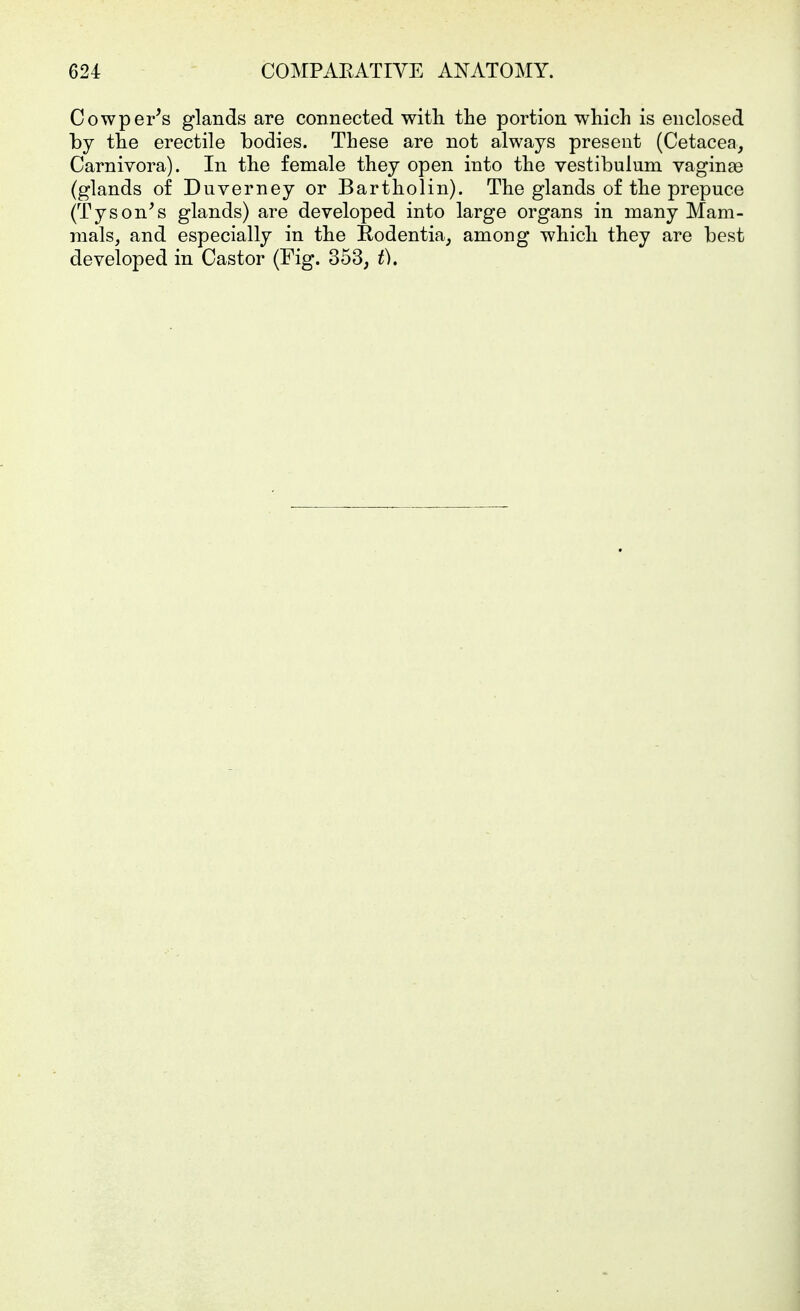 Cowper^s glands are connected with the portion which is enclosed by the erectile bodies. These are not always present (Cetacea, Carnivora). In the female they open into the vestibulum vaginaß (glands of Duverney or Bartholin). The glands of the prepuce (Tyson's glands) are developed into large organs in many Mam- mals, and especially in the Rodentia, among which they are best developed in Castor (Fig. 353, t).