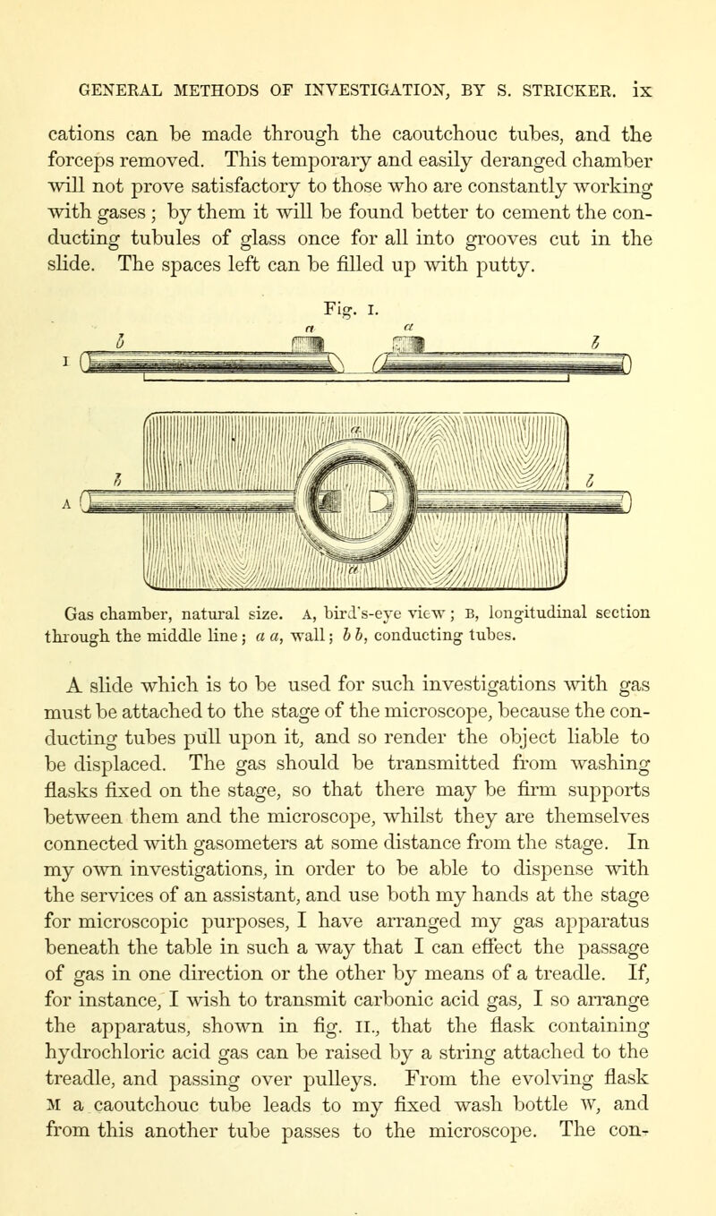 cations can be made through the caoutchouc tubes, and the forceps removed. This temporary and easily deranged chamber will not prove satisfactory to those who are constantly working with gases ; by them it will be found better to cement the con- ducting tubules of glass once for all into grooves cut in the slide. The spaces left can be filled up with putty. Fig. I. n ft Gas chamber, natural size. A, bird's-eye view; B, longitudinal section through the middle line ; a a, wall; h h, conducting tubes. A slide which is to be used for such investigations \vith gas must be attached to the stage of the microscope, because the con- ducting tubes pull upon it, and so render the object liable to be displaced. The gas should be transmitted from washing flasks fixed on the stage, so that there may be firm supports between them and the microscope, whilst they are themselves connected with gasometers at some distance from the stage. In my own investigations, in order to be able to dispense with the services of an assistant, and use both my hands at the stage for microscopic purposes, I have arranged my gas aj^paratus beneath the table in such a way that I can efiect the passage of gas in one direction or the other by means of a treadle. If, for instance, I wish to transmit carbonic acid gas, I so aiTange the apparatus, shown in fig. II., that the flask containing hydrochloric acid gas can be raised by a string attached to the treadle, and passing over pulleys. From the evohdng flask M a caoutchouc tube leads to my fixed wash bottle w, and from this another tube passes to the microscope. The con-
