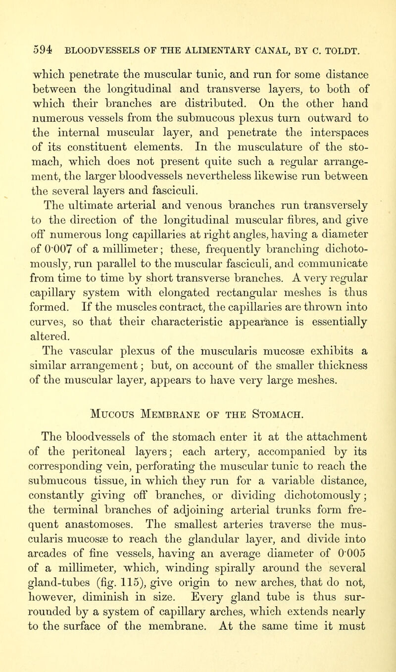 which penetrate the muscular tunic, and run for some distance between the longitudinal and transverse layers, to both of which their branches are distributed. On the other hand numerous vessels from the submucous plexus turn outward to the internal muscular layer, and penetrate the interspaces of its constituent elements. In the musculature of the sto- mach, which does not present quite such a regular arrange- ment, the larger bloodvessels nevertheless likewise run between the several layers and fasciculi. The ultimate arterial and venous branches run transversely to the direction of the longitudinal muscular fibres, and give off numerous long capillaries at right angles, having a diameter of 0-007 of a millimeter; these, frequently branching dichoto- mously, run parallel to the muscular fasciculi, and communicate from time to time by short transverse branches. A very regular capillary system with elongated rectangular meshes is thus formed. If the muscles contract, the capillaries are thrown into curves, so that their characteristic appearance is essentially altered. The vascular plexus of the muscularis mucosse exhibits a similar arrangement; but, on account of the smaller thickness of the muscular layer, appears to have very large meshes. Mucous Membrane of the Stomach. The bloodvessels of the stomach enter it at the attachment of the peritoneal layers; each artery, accompanied by its corresponding vein, perforating the muscular tunic to reach the submucous tissue, in which they run for a variable distance, constantly giving off branches, or dividing dichotomously; the terminal branches of adjoining arterial trunks form fre- quent anastomoses. The smallest arteries traverse the mus- cularis mucosse to reach the glandular layer, and divide into arcades of fine vessels, having an average diameter of 0*005 of a millimeter, which, winding spirally around the several gland-tubes (fig. 115), give origin to new arches, that do not, however, diminish in size. Every gland tube is thus sur- rounded by a system of capillary arches, which extends nearly to the surface of the membrane. At the same time it must