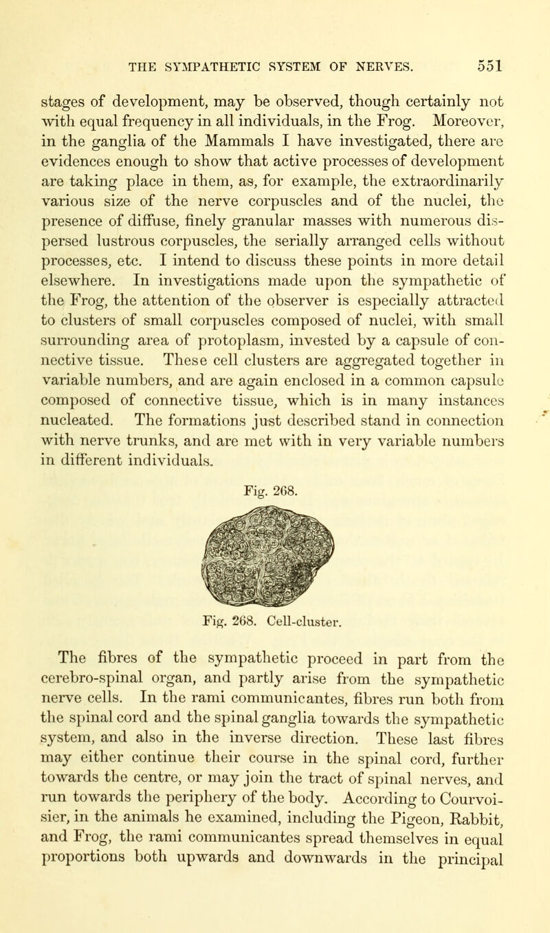 stages of development, may be observed, though certainly not mth equal frequency in all individuals, in the Frog. Moreover, in the ganglia of the Mammals I have investigated, there are evidences enough to show that active processes of development are taking place in them, as, for example, the extraordinarily various size of the nerve corpuscles and of the nuclei, the presence of diffuse, finely granular masses with numerous dis- persed lustrous corpuscles, the serially arranged cells without processes, etc. I intend to discuss these points in more detail elsewhere. In investigations made upon the sympathetic of the Frog, the attention of the observer is especially attracted to clusters of small corpuscles composed of nuclei, with small surrounding area of protoplasm, invested by a capsule of con- nective tissue. These cell clusters are aggregated together in variable numbers, and are again enclosed in a common capsule composed of connective tissue, which is in many instances nucleated. The formations just described stand in connection with nerve trunks, and are met with in very variable numbers in different individuals. Fig. 268. Fig. 268. Cell-cluster. The fibres of the sympathetic proceed in part from the cerebro-spinal organ, and partly arise from the sympathetic nerve cells. In the rami communicantes, fibres run both from the spinal cord and the spinal ganglia towards the sympathetic system, and also in the inverse direction. These last fibres may either continue their course in the spinal cord, further towards the centre, or may join the tract of spinal nerves, and run towards the periphery of the body. According to Courvoi- sier, in the animals he examined, including the Pigeon, Rabbit, and Frog, the rami communicantes spread themselves in equal proportions both upwards and downwards in the principal