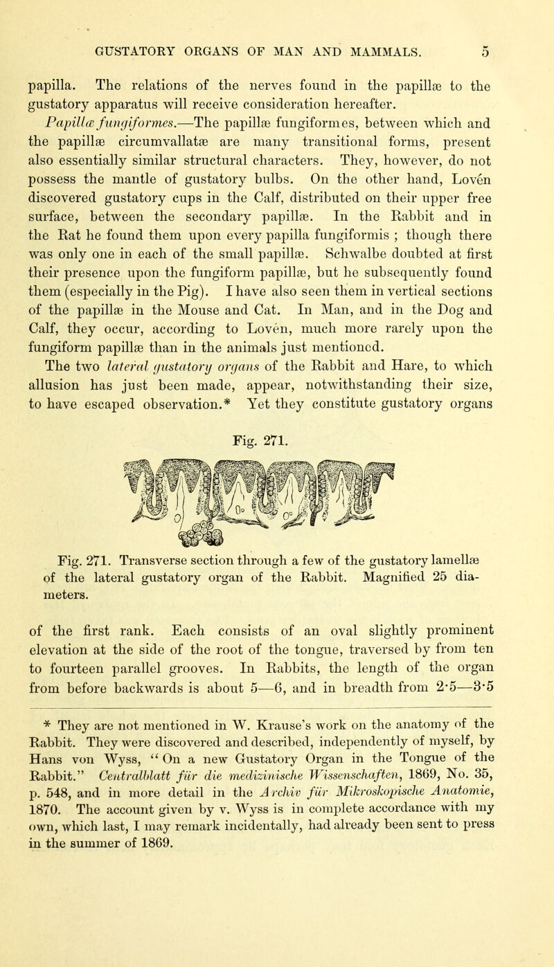 papilla. The relations of the nerves found in the papillse to the gustatory apparatus will receive consideration hereafter. PapillcB fungiformes.—The papillee fungiform es, between which and the papillse circumvallatse are many transitional forms, present also essentially similar structural characters. They, however, do not possess the mantle of gustatory bulbs. On the other hand, Loven discovered gustatory cups in the Calf, distributed on their upper free surface, between the secondary papillae. In the Rabbit and in the Rat he found them upon every papilla fungiformis ; though there was only one in each of the small papillae. Schwalbe doubted at first their presence upon the fungiform papillae, but he subsequently found them (especially in the Pig). I have also seen them in vertical sections of the papillae in the Mouse and Cat. In Man, and in the Dog and Calf, they occur, according to Loven, much more rarely upon the fungiform papillae than in the animals just mentioned. The two lateral gustatory organs of the Rabbit and Hare, to which allusion has just been made, appear, notwithstanding their size, to have escaped observation.* Yet they constitute gustatory organs Fig. 271. Transverse section through a few of the gustatory lamellas of the lateral gustatory organ of the Rabbit. Magnified 25 dia- meters. of the first rank. Each consists of an oval slightly prominent elevation at the side of the root of the tongue, traversed by from ten to fourteen parallel grooves. In Rabbits, the length of the organ from before backwards is about 5—6, and in breadth from 2-5—3-5 * They are not mentioned in W. Krause's work on the anatomy of the Rabbit. They were discovered and described, independently of myself, by Hans von Wyss, On a new Gustatory Organ in the Tongue of the Rabbit. Ceutralhlatt für die medizi7iische Wissenschaften, 1869, No. 35, p. 548, and in more detail in the Archiv für Mikroskopische Anatomie, 1870. The account given by v. Wyss is in complete accordance with my own, which last, I may remark incidentally, had already been sent to press in the summer of 1869.
