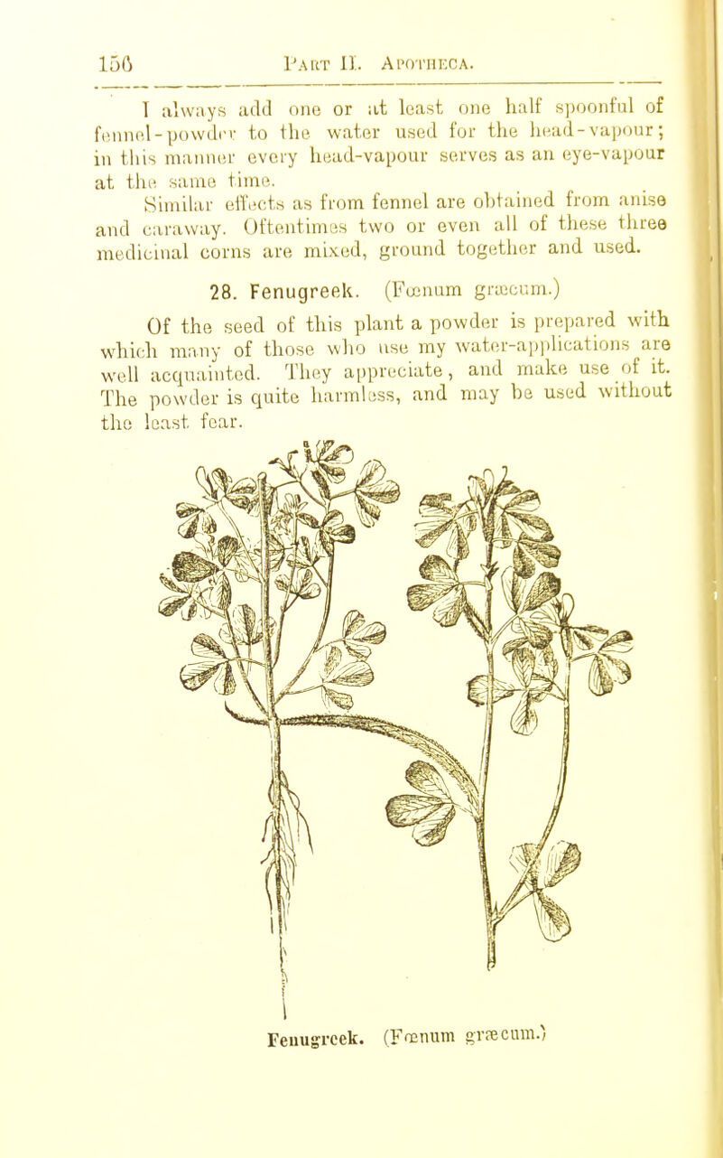 I always add one or at least one half spoonful of fennel-powdrv to the water used for the head-vapour; in this manner every head-vapour serves as an eye-vapour at the same. time. Similar effects as from fennel are obtained from anise and caraway. Oftentimes two or even all of these three medicinal corns are mixed, ground together and used. 28. Fenugreek. (Fumum graecum.) Of the seed of this plant a powder is prepared with which many of those who use my water-applications are well acquainted. They appreciate, and make use of it. The powder is quite harmless, and may be used without the least fear. Fenugreek. (Fumum graecum.)