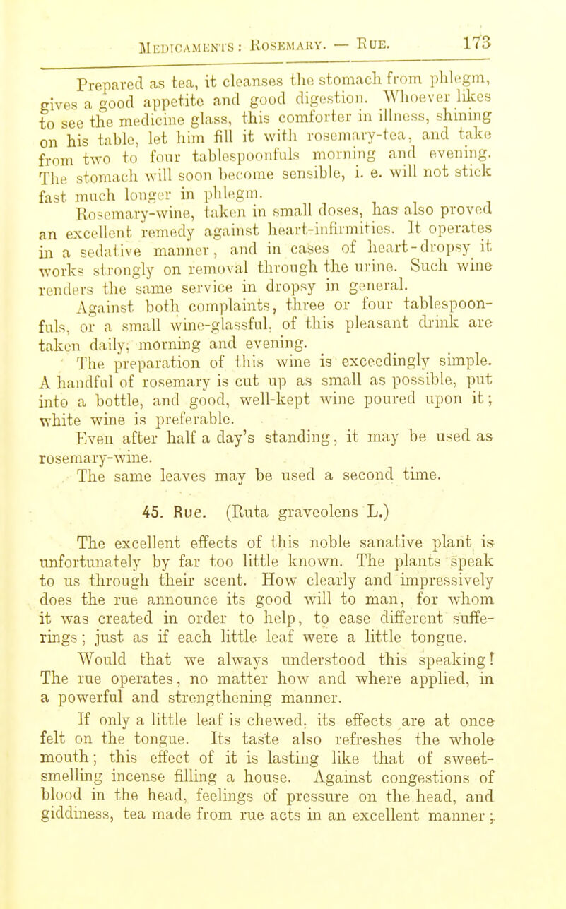 Prepared as tea, it cleanses the stomach from phlegm, gives a good appetite and good digestion. Whoever likes to see the medicine glass, this comforter in illness, shining on his table, let him fill it with rosemary-tea, and take from two to four tablespoonfuls morning and evening. The stomach will soon become sensible, i. e. will not stick fast much longer in phlegm. Rosemary-wine, taken in small doses, has also proved an excellent remedy against heart-infirmities. It operates in a sedative manner, and in cases of heart-dropsy it works strongly on removal through the urine. Such wine renders the same service in dropsy in general. Against both complaints, three or four tablespoon- fuls, or a small wine-glassful, of this pleasant drink are taken daily, morning and evening. The preparation of this wine is exceedingly simple. A handful of rosemary is cut up as small as possible, put into a bottle, and good, well-kept wine poured upon it; white wine is preferable. Even after half a day's standing, it may be used as rosemary-wine. The same leaves may be used a second time. 45. Rue. (Ruta graveolens L.) The excellent effects of this noble sanative plant is unfortunately by far too little known. The plants speak to us through their scent. How clearly and impressively does the rue announce its good will to man, for whom it was created in order to help, to ease different suffe- rings ; just as if each little leaf were a little tongue. Would that we always understood this speaking! The rue operates, no matter how and where applied, in a powerful and strengthening manner. If only a little leaf is chewed, its effects are at once felt on the tongue. Its taste also refreshes the whole mouth; this effect of it is lasting like that of sweet- smelling incense filling a house. Against congestions of blood in the head, feelings of pressure on the head, and giddiness, tea made from rue acts in an excellent manner