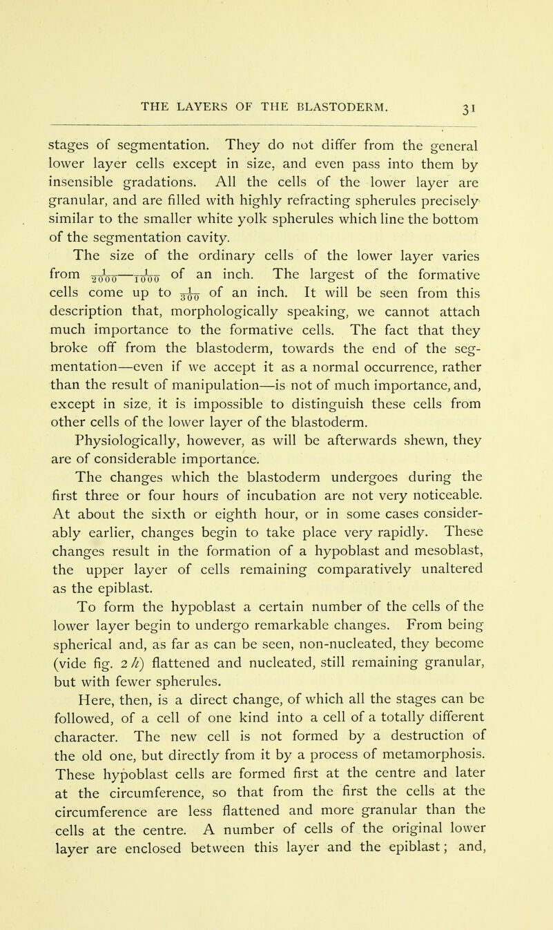 stages of segmentation. They do not differ from the general lower layer cells except in size, and even pass into them by insensible gradations. All the cells of the lower layer are granular, and are filled with highly refracting spherules precisely similar to the smaller white yolk spherules which line the bottom of the segmentation cavity. The size of the ordinary cells of the lower layer varies from —T(Joo of ^^h- The largest of the formative cells come up to of an inch. It will be seen from this description that, morphologically speaking, we cannot attach much importance to the formative cells. The fact that they broke off from the blastoderm, towards the end of the seg- mentation—even if we accept it as a normal occurrence, rather than the result of manipulation—is not of much importance, and, except in size, it is impossible to distinguish these cells from other cells of the lower layer of the blastoderm. Physiologically, however, as will be afterwards shewn, they are of considerable importance. The changes which the blastoderm undergoes during the first three or four hours of incubation are not very noticeable. At about the sixth or eighth hour, or in some cases consider- ably earlier, changes begin to take place very rapidly. These changes result in the formation of a hypoblast and mesoblast, the upper layer of cells remaining comparatively unaltered as the epiblast. To form the hypoblast a certain number of the cells of the lower layer begin to undergo remarkable changes. From being spherical and, as far as can be seen, non-nucleated, they become (vide fig. 2 //) flattened and nucleated, still remaining granular, but with fewer spherules. Here, then, is a direct change, of which all the stages can be followed, of a cell of one kind into a cell of a totally different character. The new cell is not formed by a destruction of the old one, but directly from it by a process of metamorphosis. These hypoblast cells are formed first at the centre and later at the circumference, so that from the first the cells at the circumference are less flattened and more granular than the cells at the centre. A number of cells of the original lower layer are enclosed between this layer and the epiblast; and.