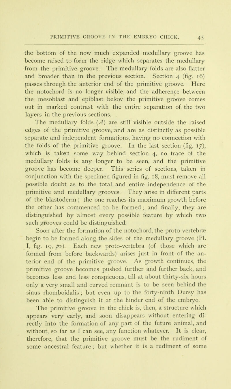 the bottom of the now much expanded medullary groove has become raised to form the ridge which separates the medullary from the primitive groove. The medullary folds arc also flatter and broader than in the previous section. Section 4 (fig. 16) passes through the anterior end of the primitive groove. Here the notochord is no longer visible, and the adherence between the mesoblast and epiblast below the primitive groove comes out in marked contrast with the entire separation of the two layers in the previous sections. The medullary folds (A) are still visible outside the raised edges of the primitive groove, and are as distinctly as possible separate and independent formations, having no connection with the folds of the primitive groove. In the last section (fig. 17), which is taken some way behind section 4, no trace of the medullary folds is any longer to be seen, and the primitive groove has become deeper. This series of sections, taken in conjunction with the specimen figured in fig. 18, must remove all possible doubt as to the total and entire independence of the primitive and medullary grooves. They arise in different parts of the blastoderm ; the one reaches its maximum growth before the other has commenced to be formed ; and finally, they are distinguished by almost every possible feature by which two such grooves could be distinguished. Soon after the formation of the notochord, the proto-vertebrae begin to be formed along the sides of the medullary groove (PI. I, fig. 19, pv). Each new proto-vertebra (of those which are formed from before backwards) arises just in front of the an- terior end of the primitive groove. As growth continues, the primitive groove becomes pushed further and further back, and becomes less and less conspicuous, till at about thirty-six hours only a very small and curved remnant is to be seen behind the sinus rhomboidalis ; but even up to the forty-ninth Dursy has been able to distinguish it at the hinder end of the embryo. The primitive groove in the chick is, then, a structure which appears very early, and soon disappears without entering di- rectly into the formation of any part of the future animal, and without, so far as I can see, any function whatever. It is clear, therefore, that the primitive groove must be the rudiment of some ancestral feature ; but whether it is a rudiment of some