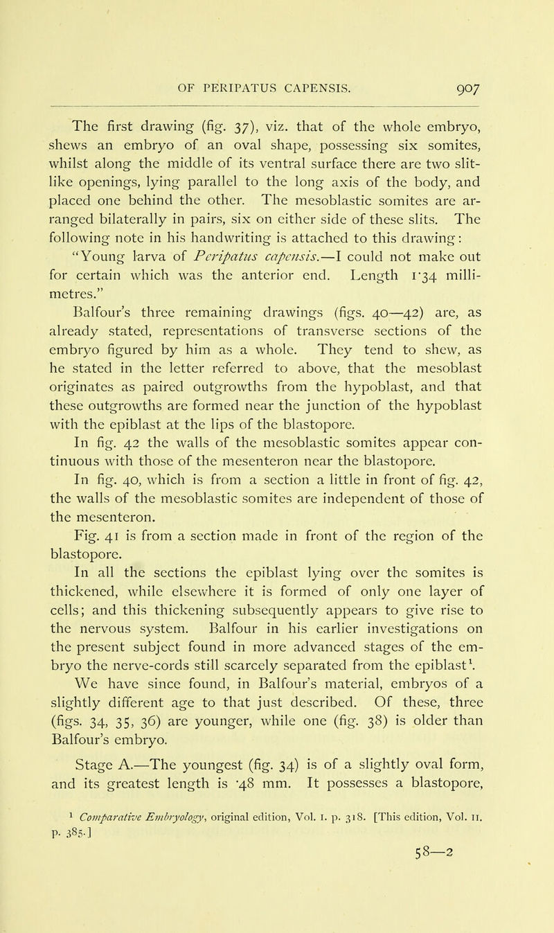 The first drawing (fig. 37), viz. that of the whole embryo, shews an embryo of an oval shape, possessing six somites, whilst along the middle of its ventral surface there are two slit- like openings, lying parallel to the long axis of the body, and placed one behind the other. The mesoblastic somites are ar- ranged bilaterally in pairs, six on either side of these slits. The following note in his handwriting is attached to this drawing: Young larva of Peripatus capcnsis.—I could not make out for certain which was the anterior end. Length i'34 milli- metres. Balfour's three remaining drawings (figs. 40—42) are, as already stated, representations of transverse sections of the embryo figured by him as a whole. They tend to shew, as he stated in the letter referred to above, that the mesoblast originates as paired outgrowths from the hypoblast, and that these outgrowths are formed near the junction of the hypoblast with the epiblast at the lips of the blastopore. In fig. 42 the walls of the mesoblastic somites appear con- tinuous with those of the m.esenteron near the blastopore. In fig. 40, which is from a section a little in front of fig. 42, the walls of the mesoblastic somites are independent of those of the mesenteron. Fig. 41 is from a section made in front of the region of the blastopore. In all the sections the epiblast lying over the somites is thickened, while elsevv^here it is formed of only one layer of cells; and this thickening subsequently appears to give rise to the nervous system. Balfour in his earlier investigations on the present subject found in more advanced stages of the em- bryo the nerve-cords still scarcely separated from the epiblast \ We have since found, in Balfour's material, embryos of a slightly different age to that just described. Of these, three (figs. 34, 35, 36) are younger, while one (fig. 38) is older than Balfour's embryo. Stage A.—The youngest (fig. 34) is of a slightly oval form, and its greatest length is 48 mm. It possesses a blastopore, ^ Comparative Embryology, original edition, Vol. i. p. 318. [This edition, Vol. ii. p. 385-] 58—2