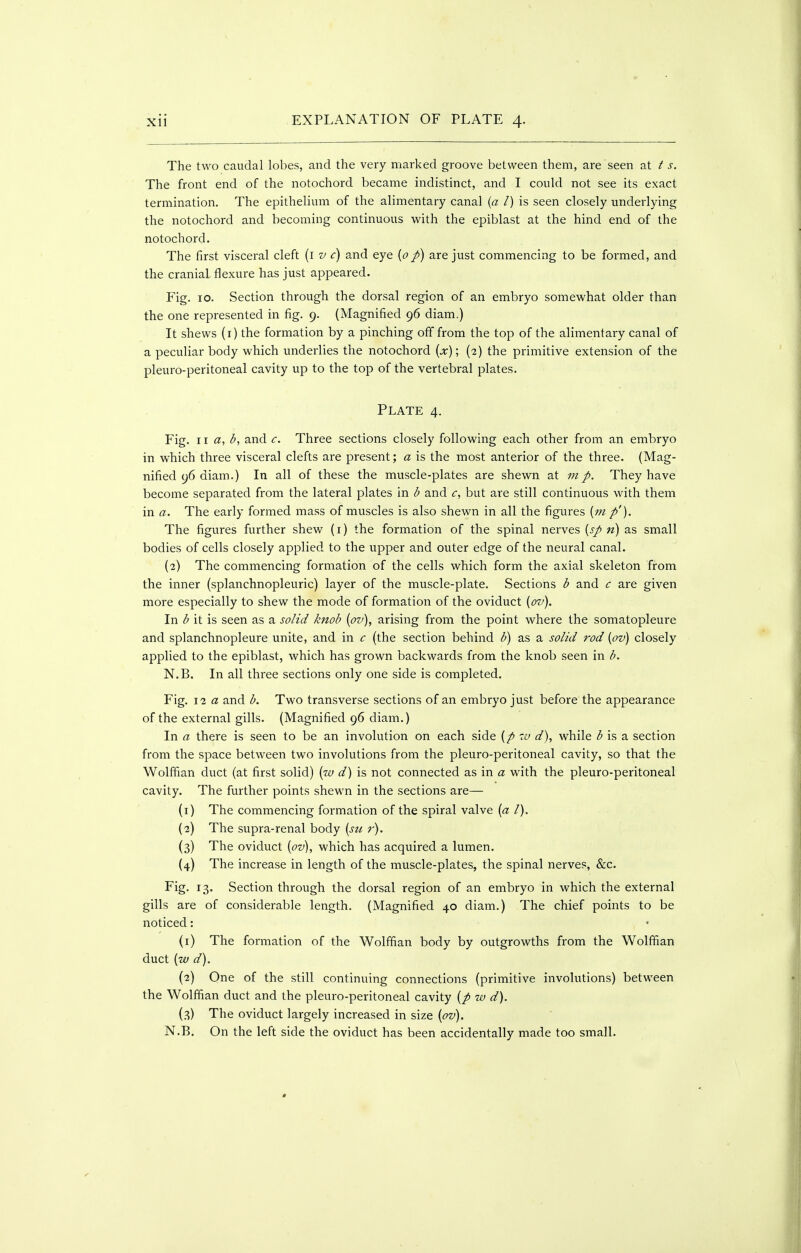 The two caudal lobes, and the very marked groove between them, are seen at t s. The front end of the notochord became indistinct, and I could not see its exact termination. The epithelium of the alimentary canal {a I) is seen closely underlying the notochord and becoming continuous with the epiblast at the hind end of the notochord. The first visceral cleft (i v c) and eye {0p) are just commencing to be formed, and the cranial flexure has just appeared. Fig. 10. Section through the dorsal region of an embryo somewhat older than the one represented in fig. 9. (Magnified 96 diam.) It shews (i) the formation by a pinching off from the top of the alimentary canal of a peculiar body which underlies the notochord {x)\ (2) the primitive extension of the pleuro-peritoneal cavity up to the top of the vertebral plates. Plate 4. Fig. 11 a, ^, and c. Three sections closely following each other from an embryo in which three visceral clefts are present; a is the most anterior of the three. (Mag- nified 96 diam.) In all of these the muscle-plates are shewn at mp. They have become separated from the lateral plates in b and but are still continuous with them in a. The early formed mass of muscles is also shewn in all the figures {m p'). The figures further shew (i) the formation of the spinal nerves {sp n) as small bodies of cells closely applied to the upper and outer edge of the neural canal. (2) The commencing formation of the cells which form the axial skeleton from the inner (splanchnopleuric) layer of the muscle-plate. Sections l> and c are given more especially to shew the mode of formation of the oviduct (ov). In d it is seen as a solid knob [pv), arising from the point where the somatopleure and splanchnopleure unite, and in c (the section behind b) as a solid rod [pv] closely applied to the epiblast, which has grown backwards from the knob seen in b. N.B. In all three sections only one side is completed. Fig. \T. a and b. Two transverse sections of an embryo just before the appearance of the external gills. (Magnified 96 diam.) In a there is seen to be an involution on each side {p za d), while ^ is a section from the space between two involutions from the pleuro-peritoneal cavity, so that the Wolffian duct (at first solid) [w d) is not connected as in a with the pleuro-peritoneal cavity. The further points shewn in the sections are— (1) The commencing formation of the spiral valve {a I). (2) The supra-renal body {su r). (3) The oviduct {ov), which has acquired a lumen. (4) The increase in length of the muscle-plates, the spinal nerves, &c. Fig. 13. Section through the dorsal region of an embryo in which the external gills are of considerable length. (Magnified 40 diam.) The chief points to be noticed: (1) The formation of the Wolffian body by outgrowths from the Wolffian duct [w d). (2) One of the still continuing connections (primitive involutions) between the Wolffian duct and the pleuro-peritoneal cavity {p w d). (3) The oviduct largely increased in size {ov). N.B. On the left side the oviduct has been accidentally made too small.