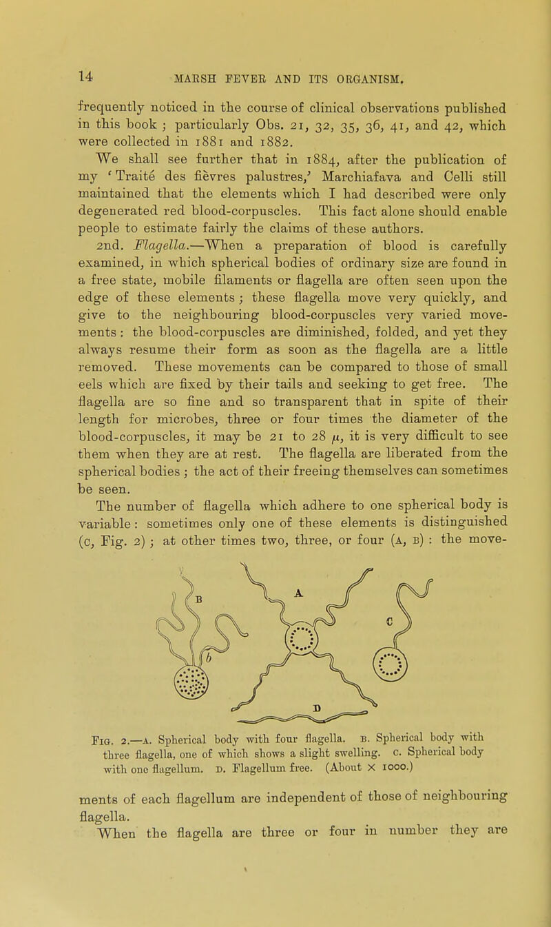 u frequently noticed in the course of clinical observations published in this book ; particularly Obs. 21, 32, 35, 36, 41, and 42, whicli were collected in 1881 and 1882. We shall see further that in 1884, after the publication of my ' Traité des fièvres palustres/ Marchiafava and Celli still maintained that the elements which I had described were only degenerated red blood-corpuscles. This fact alone should enable people to estimate fairly the claims of these authors. 2nd. Flagella.—When a preparation of blood is carefully examined, in which spherical bodies of ordinary size are found in a free state, mobile filaments or flagella are often seen upon the edge of these elements ; these flagella move very quickly, and give to the neighbouring blood-corpuscles very varied move- ments : the blood-corpuscles are diminished, folded, and yet they always resume their form as soon as the flagella are a little removed. These movements can be compared to those of small eels which are fixed by their tails and seeking to get free. The flagella are so fine and so transparent that in spite of their length for microbes, three or four times the diameter of the blood-corpuscles, it may be 21 to 28 n, it is very difficult to see them when they are at rest. The flagella are liberated from the spherical bodies ; the act of their freeing themselves can sometimes be seen. The number of flagella which adhere to one spherical body is variable : sometimes only one of these elements is distinguished (c, Pig. 2) ; at other times two, three, or four (a, b) : the move- FiG. 2.—A. Spherical body with four flagella, b. Spherical body with three flagella, one of which shows a slight swelling, c. Spherical body with one flagellum. d. Flagelluin free. (About X 1000.) ments of each flagellum are independent of those of neighbouring flagella. When the flagella are three or four in number they are