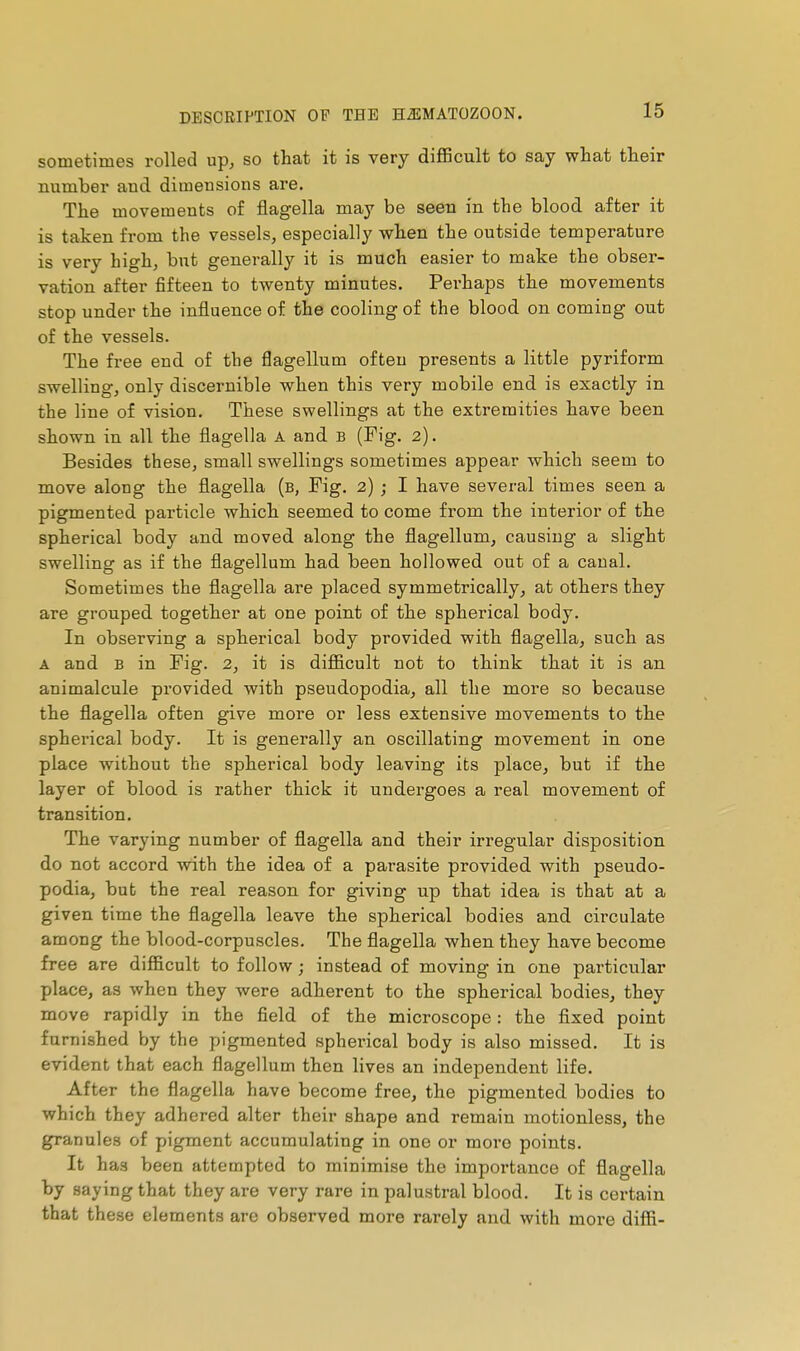 sometimes rolled up, so that it is very difficult to say what their number and dimensions are. The movements of flagella may be seen in the blood after it is taken from the vessels, especially when the outside temperature is very high, but generally it is much easier to make the obser- vation after fifteen to twenty minutes. Perhaps the movements stop under the influence of the cooling of the blood on coming out of the vessels. The free end of the flagellum often presents a little pyriform swelling, only discernible when this very mobile end is exactly in the line of vision. These swellings at the extremities have been shown in all the flagella A and B (Fig. 2). Besides these, small swellings sometimes appear which seem to move along the flagella (b, Fig. 2) ; I have several times seen a pigmented particle which seemed to come from the interior of the spherical body and moved along the flagellum, causing a slight swelling as if the flagellum had been hollowed out of a canal. Sometimes the flagella are placed symmetrically, at others they are grouped together at one point of the spherical body. In observing a spherical body provided with flagella, such as A and B in Fig. 2, it is difficult not to think that it is an animalcule provided with pseudopodia, all the more so because the flagella often give more or less extensive movements to the spherical body. It is generally an oscillating movement in one place without the spherical body leaving its place, but if the layer of blood is rather thick it undergoes a real movement of transition. The varying number of flagella and their irregular disposition do not accord with the idea of a parasite provided with pseudo- podia, but the real reason for giving up that idea is that at a given time the flagella leave the spherical bodies and circulate among the blood-corpuscles. The flagella when they have become free are difficult to follow ; instead of moving in one particular place, as when they were adherent to the spherical bodies, they move rapidly in the field of the microscope : the fixed point furnished by the pigmented spherical body is also missed. It is evident that each flagellum then lives an independent life. After the flagella have become free, the pigmented bodies to which they adhered alter their shape and remain motionless, the granules of pigment accumulating in one or more points. It has been attempted to minimise the importance of flagella by saying that they are very rare in palustral blood. It is certain that these elements are observed more rarely and with more diffi-