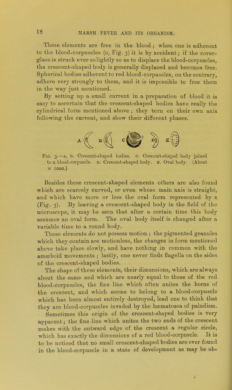 These elements are free in the blood ; when one is adherent to the blood-corpuscles (c, Fig. 3) it is by accident ; if the cover- glass is struck ever so lightly so as to displace the blood-corpuscles, the crescent-shaped body is generally displaced and becomes free. Spherical bodies adherent to red blood-corpuscles, on the contrary, adhere very strongly to them, and it is impossible to free them in the way just mentioned. By setting up a small current in a preparation of blood it is easy to ascertain that the crescent-shaped bodies have really tlie cylindrical form mentioned above ; they turn on their own axis following the current, and show their different phases. Fig. 3.—A, B. Crescent-sliaped bodies, c. Crescent-shaped body joined to a blood-coi-puscle. d. Crescent-shaped body. E. Oval body. (About X 1000.) Besides these crescent-shaped elements others are also found which are scarcely curved, or even whose main axis is straight, and which have more or less the oval form represented by E (Fig. 3). By leaving a crescent-shaped body in the field of the microscope, it may be seen that after a certain time this body assumes an oval form. The oval body itself is changed after a variable time to a round body. These elements do not possess motion ; the pigmented granules which they contain are motionless, the changes in form mentioned above take place slowly, and have nothing in common with the amoeboid movements ; lastly, one never finds flagella on the sides of the crescent-shaped bodies. The shape of these elements, their dimensions, which are always about the same and which are nearly equal to those of the red blood-corpuscles, the fine line which often unites the horns of the crescent, and which seems to belong to a blood-corpuscle which has been almost entirely destroyed, lead one to think that they are blood-corpuscles invaded by the htematozoa of paludism. Sometimes this origin of the crescent-shaped bodies is very apparent; the fine line which unites the two ends of the crescent makes with the outward edge of the crescent a regular circle, which has exactly the dimensions of a red blood-corpuscle. It is to be noticed that no small crescent-shaped bodies are ever found in the blood-corpuscle in a state of development as may be ob-