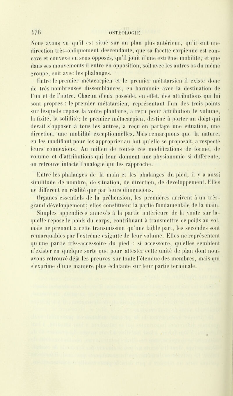 Nous avons vu qu’il est situé sur un plan plus antérieur, qu’il suit une direction très-obliquement descendante, que sa facette carpienne est cou- cave et convexe en sens opposés, qu’il jouit d’une extrême mobilité, et que dans ses mouvements il entre en opposition, soit avec les autres os du même groupe, soit avec les phalanges. Entre le premier métacarpien et le premier métatarsien il existe donc de très-nombreuses dissemblances, en harmonie avec la destination de l’un et de l’autre. Chacun d’eux possède, en effet, des attributions qui lui sont propres : le premier métatarsien, représentant l’un des trois points sur lesquels repose la voûte plantaire, a reçu pour attribution le volume, la fixité, la solidité; le premier métacarpien, destiné à porter un doigt qui devait s’opposer à tous les autres, a reçu en partage une situation, une direction, une mobilité exceptionnelles. Mais remarquons que la nature, en les modifiant pour les approprier au but qu’elle se proposait, a respecté leurs connexions. Au milieu de toutes ces modifications de forme, de volume et d’attributions qui leur donnent une physionomie si différent!*, on retrouve intacte l’analogie qui les rapproche. Entre les phalanges de la main et les phalanges du pied, il y a aussi similitude de nombre, de situation, de direction, de développement. Elles ne diffèrent en réalité que par leurs dimensions. Organes essentiels de la préhension, les premières arrivent à un très- grand développement; elles constituent la partie fondamentale de la main. Simples appendices annexés à. la partie antérieure de la voûte sur la¬ quelle repose le poids du corps, contribuant à transmettre ce poids au sol, mais ne prenant à cette transmission qu’une faible part, les secondes sont remarquables par l’extrême exiguïté de leur volume. Elles ne représentent qu’une partie très-accessoire du pied : si accessoire, qu’elles semblent n’exister en quelque sorte que pour attester cette unité de plan dont nous avons retrouvé déjà les preuves sur toute l’étendue des membres, mais qui s’exprime d’une manière plus éclatante sur leur partie terminale.