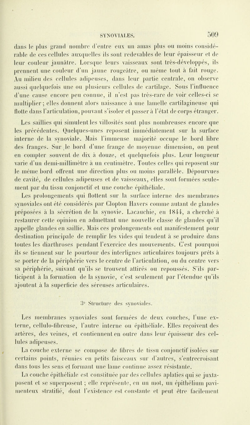 dans le plus grand nombre d’entre eux un amas plus ou moins considé¬ rable de ces cellules auxquelles ils sont redevables de leur épaisseur et de leur couleur jaunâtre. Lorsque leurs vaisseaux sont très-développés, ils prennent une couleur d’un jaune rougeâtre, ou même tout à fait rouge. Au milieu des cellules adipeuses, dans leur partie centrale, on observe aussi quelquefois une ou plusieurs cellules de cartilage. Sous l’influence d’une cause encore peu connue, il n’est pas très-rare de voir celles-ci se multiplier; elles donnent alors naissance à une lamelle cartilagineuse qui flotte dans l’articulation, pouvant s’isoler et passer à l’état de corps étranger. Les saillies qui simulent les villosités sont plus nombreuses encore que les précédentes. Quelques-unes reposent immédiatement sur la surface interne de la synoviale. Mais l’immense majorité occupe le bord libre des franges. Sur le bord d’une frange de moyenne dimension, on peut en compter souvent de dix â douze, et quelquefois plus. Leur longueur varie d’un demi-millimètre à un centimètre. Toutes celles qui reposent sur le même bord offrent une direction plus ou moins parallèle. Dépourvues de cavité, de cellules adipeuses et de vaisseaux, elles sont formées seule¬ ment par du tissu conjonctif et une couche épithéliale. Les prolongements qui flottent sur la surface interne des membranes synoviales ont été considérés par Clopton Havers comme autant de glandes préposées à la sécrétion de la synovie. Lacauchie, en 1844, a cherché à restaurer cette opinion en admettant une nouvelle classe de glandes qu’il appelle glandes en saillie. Mais ces prolongements ont manifestement pour destination principale de remplir les vides qui tendent à se produire dans toutes les diarthroses pendant l’exercice des mouvements. C’est pourquoi ils se tiennent sur le pourtour des interlignes articulaires toujours prêts à se porter de la périphérie vers le centre de l’articulation, ou du centre vers sa périphérie, suivant qu’ils se trouvent attirés ou repoussés. S’ils par¬ ticipent à la formation de la synovie, c’est seulement par l’étendue qu’ils ajoutent à la superficie des séreuses articulaires. 3° Structure des synoviales. Les membranes synoviales sont formées de deux couches, l’une ex¬ terne, cellulo-fibreuse, l’autre interne ou épithéliale. Elles reçoivent des artères, des veines, et contiennent en outre dans leur épaisseur des cel¬ lules adipeuses. La couche externe se compose de libres de tissu conjonctif isolées sur certains points, réunies en petits faisceaux sur d’autres, s’entrecroisant dans tous les sens et formant une lame continue assez résistante. La couche épithéliale est constituée par des cellules aplaties qui se juxta¬ posent et se superposent ; elle représente, en un mot, un épithélium pavi- menteux stratifié, dont l’existence est constante et peut être facilement