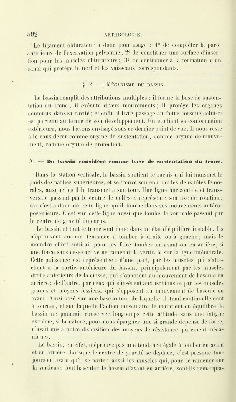 Le ligament obturateur a donc pour usage : 1° de compléter la paroi antérieure de l’excavation pelvienne; 2° de constituer une surface d’inser¬ tion pour les muscles obturateurs; 3° de contribuera la formation d’un canal qui protège le nerf et les vaisseaux correspondants. § 2. — Mécanisme du bassin. Le bassin remplit des attributions multiples : il forme la base de susten¬ tation du tronc ; il exécute divers mouvements ; il protège les organes contenus dans sa cavité; et enfin il livre passage au fœtus lorsque celui-ci est parvenu au terme de son développement. En étudiant sa conformation extérieure, nous l’avons envisagé sous ce dernier point de vue. Il nous reste à le considérer comme organe de sustentation, comme organe de mouve¬ ment, comme organe de protection. A. —- IBst bassin considéré comme base de sustentation du tronc. Dans la station verticale, le bassin soutient le rachis qui lui transmet le poids des parties supérieures, et se trouve soutenu par les deux têtes fémo¬ rales, auxquelles il le transmet à son tour. Une ligne horizontale et trans¬ versale passant par le centre de celles-ci représente son axe de rotation ; car c’est autour de cette ligne qu’il tourne dans ses mouvements antéro¬ postérieurs. C’est sur cette ligne aussi que tombe la verticale passant par le centre de gravité du corps. Le bassin et tout le tronc sont donc dans un état d’équilibre instable. Ils n’éprouvent aucune tendance à tomber à droite ou à gauche ; mais le moindre effort suffirait pour les faire tomber en avant ou en arrière, si une force sans cesse active ne ramenait la verticale sur la ligne bifémorale. Cette puissance est représentée : d’une part, par les muscles qui s’atta¬ chent à la partie antérieure du bassin, principalement par les muscles droits antérieurs de la cuisse, qui s’opposent au mouvement de bascule en arrière ; de l’autre, par ceux qui s’insèrent aux ischions et par les muscles grands et moyens fessiers, qui s’opposent au mouvement de bascule en avant. Ainsi posé sur une base autour de laquelle il tend continuellement à tourner, et sur laquelle l’action musculaire le maintient en équilibre, le bassin ne pourrait conserver longtemps cette attitude sans une fatigue extrême, si la nature, pour nous épargner une si grande dépense de force, n’avait mis à notre disposition des moyens de résistance purement méca¬ niques. Le bassin, en effet, n’éprouve pas une tendance égale à tomber en avant et en arrière. Lorsque le centre de gravité se déplace, c’est presque tou¬ jours en avant qu’il se porte ; aussi les muscles qui, pour le ramener sur la verticale, font basculer le bassin d’avant en arrière, sont-ils remarqua-