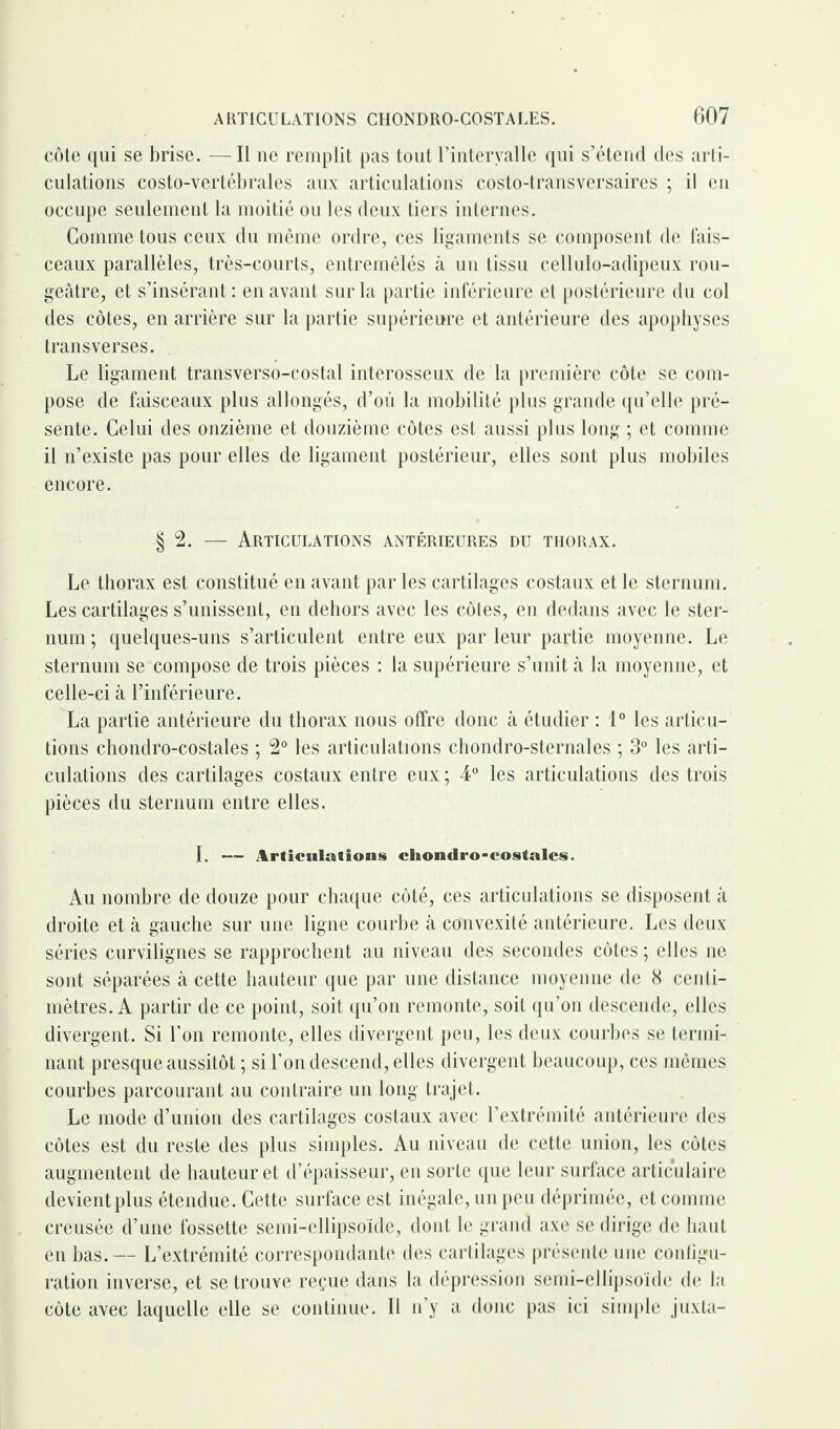 côte qui se brise. —Il ne remplit pas tout l’intervalle qui s’étend des arti¬ culations costo-vertébrales aux articulations costo-transversaires ; il en occupe seulement la moitié ou les deux tiers internes. Comme tous ceux du même ordre, ces ligaments se composent de fais¬ ceaux parallèles, très-courts, entremêlés à un tissu cellulo-adipeux rou¬ geâtre, et s’insérant : en avant sur la partie inférieure et postérieure du col des côtes, en arrière sur la partie supérieure et antérieure des apophyses trans verses. Le ligament transverso-costal interosseux de la première côte se com¬ pose de faisceaux plus allongés, d’où la mobilité plus grande qu’elle pré¬ sente. Celui des onzième et douzième côtes est aussi plus long ; et comme il n’existe pas pour elles de ligament postérieur, elles sont plus mobiles encore. § 2. — Articulations antérieures du thorax. Le thorax est constitué en avant par les cartilages costaux et le sternum. Les cartilages s’unissent, en dehors avec les côtes, en dedans avec le ster¬ num ; quelques-uns s’articulent entre eux par leur partie moyenne. Le sternum se compose de trois pièces : la supérieure s’unit à la moyenne, et celle-ci à l’inférieure. La partie antérieure du thorax nous offre donc à étudier : 1° les articu¬ lions chondro-costales ; 2° les articulations chondro-sternales ; 3° les arti¬ culations des cartilages costaux entre eux ; 4° les articulations des trois pièces du sternum entre elles. I. — Articulations chomlro-costales. Au nombre de douze pour chaque côté, ces articulations se disposent à droite et à gauche sur une ligne courbe à convexité antérieure. Les deux séries curvilignes se rapprochent au niveau des secondes côtes ; elles ne sont séparées à cette hauteur que par une distance moyenne de 8 centi¬ mètres. A partir de ce point, soit qu’on remonte, soit qu’on descende, elles divergent. Si l’on remonte, elles divergent peu, les deux courbes se termi¬ nant presque aussitôt ; si l'on descend, elles divergent beaucoup, ces mêmes courbes parcourant au contraire un long trajet. Le mode d’union des cartilages costaux avec l’extrémité antérieure des côtes est du reste des plus simples. Au niveau de cette union, les côtes augmentent de hauteur et d’épaisseur, en sorte que leur surface articulaire devient plus étendue. Cette surface est inégale, un peu déprimée, et comme creusée d’une fossette semi-ellipsoïde, dont le grand axe se dirige de haut en bas.— L’extrémité correspondante des cartilages présente une configu¬ ration inverse, et se trouve reçue dans la dépression semi-ellipsoïde de la côte avec laquelle elle se continue. Il n’y a donc pas ici simple juxta-