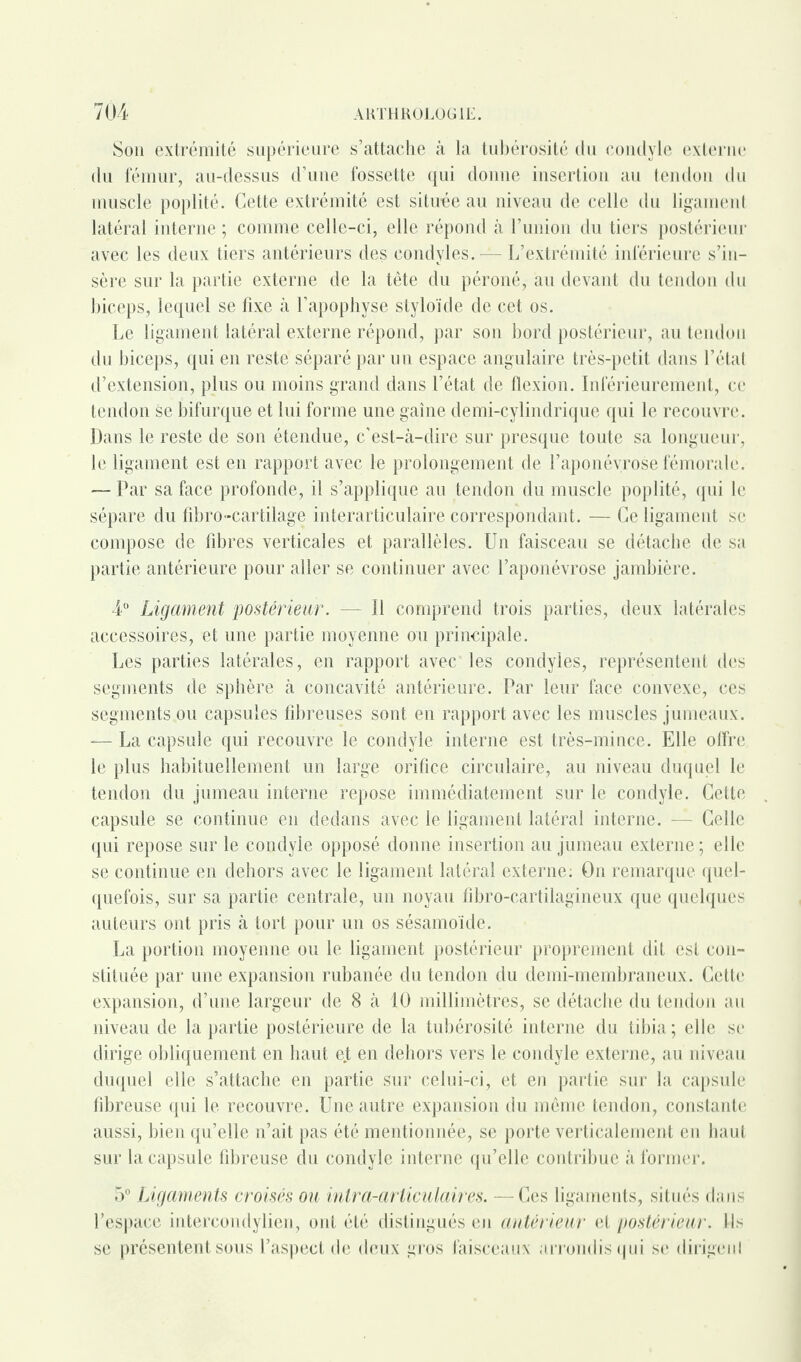 Son extrémité supérieure s’attache à la tubérosité du condyle externe du fémur, au-dessus d’une fossette qui donne insertion au tendon du muscle poplité. Cette extrémité est située au niveau de celle du ligament latéral interne ; comme celle-ci, elle répond à l’union du tiers postérieur avec les deux tiers antérieurs des condyles.— L’extrémité inférieure s’in¬ sère sur la partie externe de la tête du péroné, au devant du tendon du biceps, lequel se fixe à l’apophyse styloïde de cet os. Le ligament latéral externe répond, par son bord postérieur, au tendon du biceps, qui en reste séparé par un espace angulaire très-petit dans l’état d’extension, plus ou moins grand dans l’état de flexion. Inférieurement, ce tendon se bifurque et lui forme une gaine demi-cylindrique qui le recouvre. Dans le reste de son étendue, c'est-à-dire sur presque toute sa longueur, le ligament est en rapport avec le prolongement de l’aponévrose fémorale. — Par sa face profonde, il s’applique au tendon du muscle poplité, qui le sépare du fibro-cartilage interarticulaire correspondant. — Ce ligament se compose de fibres verticales et parallèles. Un faisceau se détache de sa partie antérieure pour aller se continuer avec l’aponévrose jambière. 4° Ligament postérieur. — Il comprend trois parties, deux latérales accessoires, et une partie moyenne ou principale. Les parties latérales, en rapport avec les condyles, représentent des segments de sphère à concavité antérieure. Par leur face convexe, ces segments ou capsules fibreuses sont en rapport avec les muscles jumeaux. — La capsule qui recouvre le condyle interne est très-mince. Elle offre le plus habituellement un large orifice circulaire, au niveau duquel le tendon du jumeau interne repose immédiatement sur le condyle. Cette capsule se continue en dedans avec le ligament latéral interne. — Celle qui repose sur le condyle opposé donne insertion au jumeau externe ; elle se continue en dehors avec le ligament latéral externe: O11 remarque quel¬ quefois, sur sa partie centrale, un noyau fibro-cartilagineux que quelques auteurs ont pris à tort pour un os sésamoïde. La portion moyenne ou le ligament postérieur proprement dit est con¬ stituée par une expansion rubanée du tendon du demi-membraneux. Cette expansion, d’une largeur de 8 à 10 millimètres, se détache du tendon au niveau de la partie postérieure de la tubérosité interne du tibia; elle se dirige obliquement en haut e.t en dehors vers le condyle externe, au niveau duquel elle s’attache en partie sur celui-ci, et en partie sur la capsule fibreuse qui le recouvre. Une autre expansion du même tendon, constante aussi, bien qu’elle n’ait pas été mentionnée, se porte verticalement en haut sur la capsule fibreuse du condyle interne qu’elle contribue à former. 5° Ligaments croisés ou inlra-articulaires. — Ces ligaments, situés dans l’espace intercondylien, ont été distingués en antérieur et postérieur. Ils se présentent sous l’aspect de deux gros faisceaux arrondis qui se dirigent