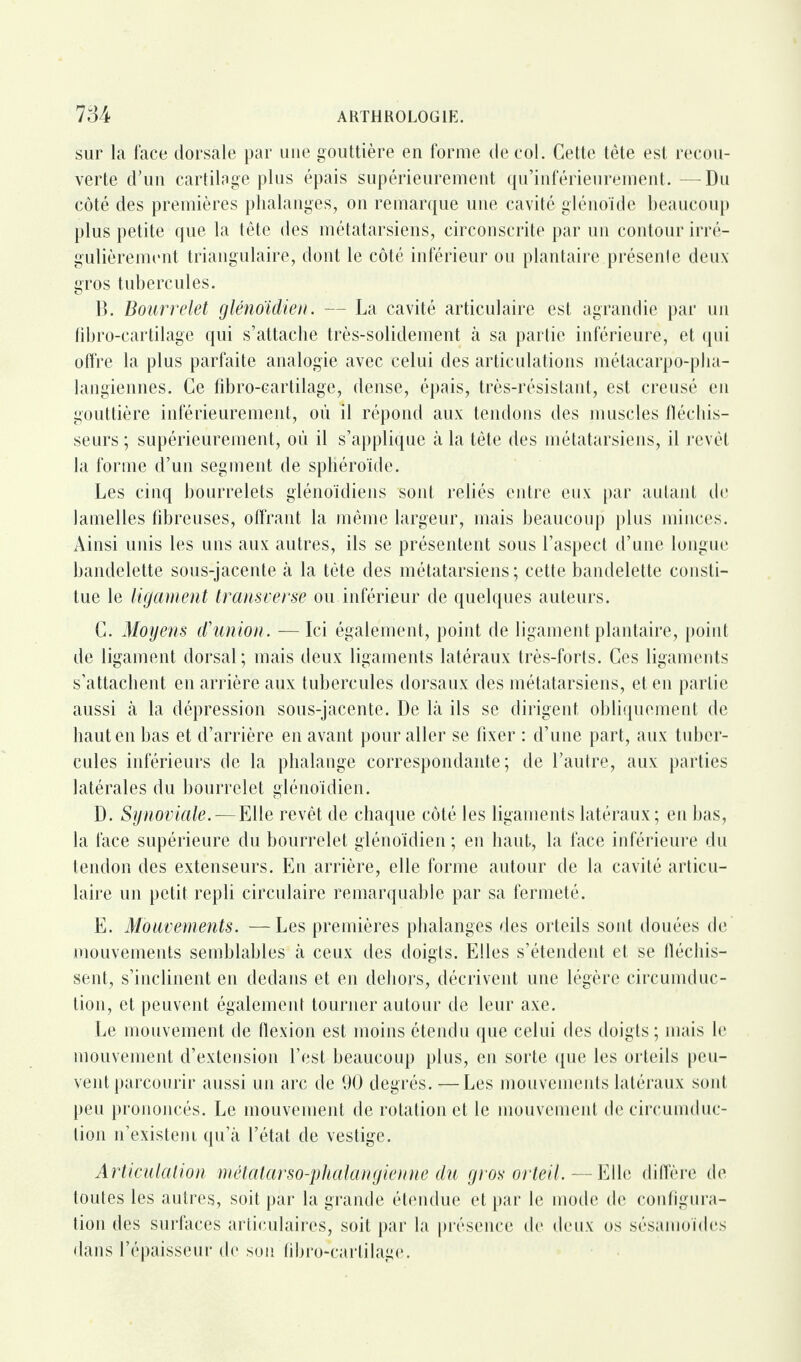 sur la face dorsale par une gouttière en forme de col. Gette tète est recou¬ verte d’un cartilage plus épais supérieurement qu’inférieurement. —Du côté des premières phalanges, on remarque une cavité glénoïde beaucoup plus petite que la tête des métatarsiens, circonscrite par un contour irré¬ gulièrement triangulaire, dont le côté inférieur ou plantaire présente deux gros tubercules. B. Bourrelet glénoïdien. — La cavité articulaire est agrandie par un fibro-cartilage qui s’attache très-solidement à sa partie inférieure, et qui offre la plus parfaite analogie avec celui des articulations métacarpo-pha¬ langiennes. Ce fibro-cartilage, dense, épais, très-résistant, est creusé en gouttière inférieurement, où il répond aux tendons des muscles fléchis¬ seurs ; supérieurement, où il s’applique à la tête des métatarsiens, il revêt la forme d’un segment de sphéroïde. Les cinq bourrelets glénoïdiens sont reliés entre eux par autant de lamelles fibreuses, offrant la même largeur, mais beaucoup plus minces. Ainsi unis les uns aux autres, ils se présentent sous l’aspect d’une longue bandelette sous-jacente à la tète des métatarsiens ; cette bandelette consti¬ tue le ligament transverse ou inférieur de quelques auteurs. C. Moyens d’union. — Ici également, point de ligament plantaire, point de ligament dorsal; mais deux ligaments latéraux très-forts. Ces ligaments s’attachent en arrière aux tubercules dorsaux des métatarsiens, et en partie aussi à la dépression sous-jacente. De Là ils se dirigent obliquement de haut en bas et d’arrière en avant pour aller se fixer : d’une part, aux tuber¬ cules inférieurs de la phalange correspondante; de l’autre, aux parties latérales du bourrelet glénoïdien. D. Synoviale.—Elle revêt de chaque côté les ligaments latéraux; en bas, la face supérieure du bourrelet glénoïdien ; en haut, la face inférieure du tendon des extenseurs. En arrière, elle forme autour de la cavité articu¬ laire un petit repli circulaire remarquable par sa fermeté. E. Mouvements. —Les premières phalanges des orteils sont douées de mouvements semblables à ceux des doigts. Elles s’étendent et se fléchis¬ sent, s’inclinent en dedans et en dehors, décrivent une légère circumduc- tion, et peuvent également tourner autour de leur axe. Le mouvement de flexion est moins étendu que celui des doigts; mais le mouvement d’extension l’est beaucoup plus, en sorte que les orteils peu¬ vent parcourir aussi un arc de 90 degrés. —Les mouvements latéraux sont peu prononcés. Le mouvement de rotation et le mouvement de circumduc- tion n’existeni qu’à l’état de vestige. Articulation métatarso-phalangienne du gros orteil. — Elle diffère de toutes les autres, soit par la grande étendue et par le mode de configura¬ tion des surfaces articulaires, soit par la présence de deux os sésamoïdes dans l’épaisseur de son fibro-cartilage.