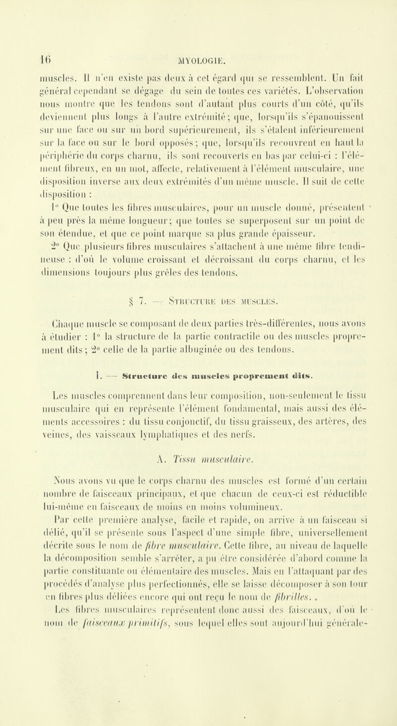 muscles. 11 n’en existe pas deux à cet égard qui se ressemblent. Un fait général cependant se dégage du sein de toutes ces variétés. L’observation nous montre que les tendons sont d’autant plus courts d’un côté, qu’ils deviennent plus longs à l’autre extrémité; que, lorsqu’ils s’épanouissent sur une face ou sur un bord supérieurement, ils s’étalent inférieurement sur la face ou sur le bord opposés; que, lorsqu’ils recouvrent en haut la périphérie du corps charnu, ils sont recouverts en bas par celui-ci : l’élé¬ ment fibreux, en un mot, affecte, relativement, à l’élément musculaire, une disposition inverse aux deux extrémités d’un même muscle. Il suit de cette disposition : 1° Que toutes les fibres musculaires, pour un muscle donné, présentent à peu près la même longueur; que toutes se superposent sur un point de son étendue, et que ce point marque sa plus grande épaisseur. 2° Que plusieurs fibres musculaires s’attachent à une même fibre tendi¬ neuse : d’où le volume croissant et décroissant du corps charnu, et les dimensions toujours plus grêles des tendons. § 7. — Structure des muscles. Chaque muscle se composant de deux parties très-dilférentes, nous avons à étudier : 1° la structure de la partie contractile ou des muscles propre¬ ment dits ; 2° celle de la partie albuginée ou des tendons. I. — Struclurc «les muscles proprement dits. Les muscles comprennent dans leur composition, non-seulement le tissu musculaire qui en représente l’élément fondamental, mais aussi des élé¬ ments accessoires : du tissu conjonctif, du tissu graisseux, des artères, des veines, des vaisseaux lymphatiques et des nerfs. A. Tissu musculaire. Nous avons vu que le corps charnu des muscles est formé d’un certain nombre de faisceaux principaux, et que chacun de ceux-ci est réductible lui-même en faisceaux de moins en moins volumineux. Par cette première analyse, facile et rapide, on arrive à un faisceau si délié, qu’il se présente sous l’aspect d’une simple fd)re, universellement décrite sous le nom de fibre musculaire. Cette libre, au niveau de laquelle la décomposition semble s’arrêter, a pu .être considérée d’abord comme la partie constituante ou élémentaire des muscles. Mais en l’attaquant par des procédés d’analyse plus perfectionnés, elle se laisse décomposer à son tour en libres plus déliées encore qui ont reçu le nom de fibrilles.. Les libres musculaires représentent donc aussi des faisceaux, d’où le • nom de faisceaux primitifs, sous lequel elles sont aujourd’hui générale-