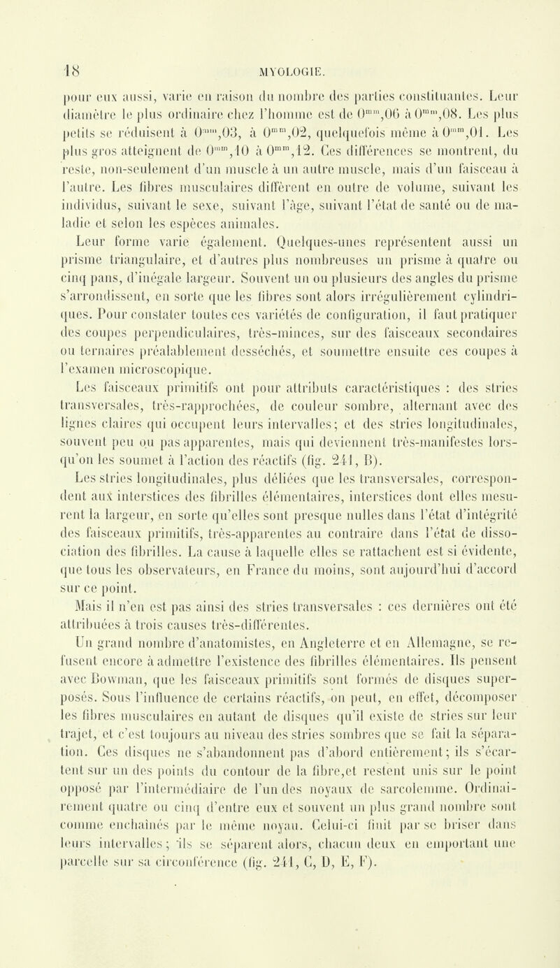 pour eux aussi, varie en raison du nombre des parties constituantes. Leur diamètre le plus ordinaire chez l’homme est de 0mrn,06 à0ra’,08. Les plus petits se réduisent à 0n,m,03, à 0mm,02, quelquefois même à0mm,0'l. Les plus gros atteignent de 0mm,10 à 0mm,12. Ces différences se montrent, du reste, non-seulement d’un muscle à un autre muscle, mais d’un faisceau à l’autre. Les libres musculaires diffèrent en outre de volume, suivant les individus, suivant le sexe, suivant l’âge, suivant l’état de santé ou de ma¬ ladie et selon les espèces animales. Leur forme varie également. Quelques-unes représentent aussi un prisme triangulaire, et d’autres plus nombreuses un prisme à quatre ou cinq pans, d’inégale largeur. Souvent un ou plusieurs des angles du prisme s’arrondissent, en sorte que les fibres sont alors irrégulièrement cylindri¬ ques. Pour constater toutes ces variétés de configuration, il faut pratiquer des coupes perpendiculaires, très-minces, sur des faisceaux secondaires ou ternaires préalablement desséchés, et soumettre ensuite ces coupes à l’examen microscopique. Les faisceaux primitifs ont pour attributs caractéristiques : des stries transversales, trës-rapprochées, de couleur sombre, alternant avec des lignes claires qui occupent leurs intervalles ; et des stries longitudinales, souvent peu ou pas apparentes, mais qui deviennent très-manifestes lors¬ qu’on les soumet à l’action des réactifs (fig. 241, B). Les stries longitudinales, plus déliées que les transversales, correspon¬ dent aux interstices des fibrilles élémentaires, interstices dont elles mesu¬ rent la largeur, en sorte qu’elles sont presque nulles dans l’état d’intégrité des faisceaux primitifs, très-apparentes au contraire dans l’état de disso¬ ciation des fibrilles. La cause à laquelle elles se rattachent est si évidente, que tous les observateurs, en France du moins, sont aujourd’hui d’accord sur ce point. Mais il n’en est pas ainsi des stries transversales : ces dernières ont été attribuées à trois causes très-différentes. Un grand nombre d’anatomistes, en Angleterre et en Allemagne, se re¬ fusent encore à admettre l’existence des fibrilles élémentaires. Us pensent avec Bovvman, que les faisceaux primitifs sont formés de disques super¬ posés. Sous l’influence de certains réactifs, on peut, en effet, décomposer les fibres musculaires en autant de disques qu’il existe de stries sur leur trajet, et c’est toujours au niveau des stries sombres que se fait la sépara¬ tion. Ces disques ne s’abandonnent pas d’abord entièrement; ils s’écar¬ tent sur un des points du contour de la fibre,et restent unis sur le point opposé par l’intermédiaire de l’un des noyaux de sarcolemme. Ordinai¬ rement quatre ou cinq d’entre eux et souvent un plus grand nombre sont comme enchaînés par le même noyau. Celui-ci finit par se briser dans leurs intervalles ; ‘ils se séparent alors, chacun deux en emportant une parcelle sur sa circonférence (fig. 241, C, D, E, F).