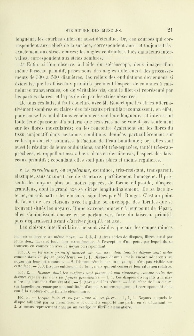 longueur, les courbes diffèrent aussi d’étendue. Or, ces courbes qui cor¬ respondent aux reliefs de la surface, correspondent aussi et toujours très- exactement aux stries claires ; les angles rentrants, situés dans leurs inter¬ valles, correspondent aux stries sombres. 4° Enfin, si l’on observe, à l’aide du stéréoscope, deux images d’un même faisceau primitif, prises sous des angles différents à des grossisse¬ ments de 300 à 500 diamètres, les reliefs des ondulations deviennent si évidents, que les faisceaux primitifs prennent l’aspect de colonnes à can¬ nelures transversales, ou de véritables vis, dont le filet est représenté par les parties claires, et le pas de vis par les stries obscures. De tous ces faits, il faut conclure avec M. Rouget que les stries alterna¬ tivement sombres et claires des faisceaux primitifs reconnaissent, en effet, pour cause les ondulations échelonnées sur leur longueur, et intéressant toute leur épaisseur. J’ajouterai que ces stries ne se voient pas seulement sur les fibres musculaires ; on les rencontre également sur les fibres du tissu conjonctif dans certaines conditions données particulièrement sur celles qui ont été soumises à l’action de l’eau bouillante ; or, elles sont aussi le résultat ds leurs ondulations, tantôt très-espacées, tantôt très-rap- prochées, et rappellent assez bien, dans ce dernier cas, l’aspect des fais¬ ceaux primitifs ; cependant elles sont plus paies et moins régulières. c. Le sarcolemme, ou myolemme, est mince, très-résistant, transparent, élastique, sans aucune trace de structure, parfaitement homogène. Il pré¬ sente des noyaux plus ou moins espacés, de forme ellipsoïde, d’aspect granuleux, dont le grand axe se dirige longitudinalement. De sa face in¬ terne, on voit naître des cloisons, signalées par M. Rouget. C’est au point de fusion de ces cloisons avec la gaine ou enveloppe des fibrilles que se trouvent situés les noyaux. D’une extrême minceur à leur point de départ, elles s’amincissent encore en se portant vers l’axe du faisceau primitif, puis disparaissent avant d’arriver jusqu’à cet axe. Les cloisons interfibrillaires ne sont visibles que sur des coupes minces leur circonférence au même noyau. — 4, 4, 4. Autres séries de disques, libres aussi par leurs deux faces et toute leur circonférence, à l’exception d’un point par lequel ils se trouvent en connexion avec le noyau correspondant. Fig. D. — Faisceau primitif incurvé sur son axe, dont tous les disques sont isolés comme dans la figure précédente. — 1,1. Disques désunis, mais encore adhérents au noyau qui leur est commun. — 2. Disques réunis par un noyau qui n’est pas visible sur cette face. — 3, 3. Disques entièrement libres, mais qui ont conservé leur situation relative. Fig. E. — Disques dont les surfaces sont planes et non sinueuses, comme celles des disques représentés dans les figures précédentes. -—1, 1. Ces disques divergents à la ma¬ nière des branches d’un éventail. — 2. Noyau qui les réunit. — 3. Surface de l’un d’eux, sur laquelle on remarque une multitude d’anneaux microscopiques qui correspondent cha¬ cun à la rupture d’une fibrille élémentaire. Fig. F. — Disque isolé et vu par l'une de ses faces. — 1, 1, 1. Noyaux auquels le disque adhérait par sa circonférence et dont il a emporté une partie en se détachant. — 2. Anneaux représentant chacun un vestige de fibrille élémentaire.