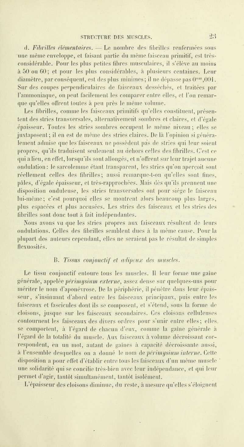 d. Fibrilles élémentaires. —Le nombre des fibrilles renfermées sous une même enveloppe, et faisant partie du même faisceau primitif, est très- considérable. Pour les plus petites fibres musculaires, il s’élève au moins à 50 ou 60; et pour les plus considérables, à plusieurs centaines. Leur diamètre, par conséquent, est des plus minimes ; il ne dépasse pas 0mm,001. Sur des coupes perpendiculaires de faisceaux desséchés, et traitées par l’ammoniaque, on peut facilement les comparer entre elles, et l’on remar¬ que qu’elles offrent toutes à peu près le même volume. Les fibrilles, comme les faisceaux primitifs qu’elles constituent, présen¬ tent des stries transversales, alternativement sombres et claires, et d’égale épaisseur. Toutes les stries sombres occupent le même niveau; elles se juxtaposent; il en est de même des stries claires. De là l’opinion si généra¬ lement admise que les'faisceaux ne possèdent pas de stries qui leur soient propres, qu’ils traduisent seulement au dehors celles des fibrilles. C’est ce qui a lieu, en effet, lorsqu’ils sont allongés, et n’offrent sur leur trajet aucune ondulation: le sarcolemme étant transparent, les stries qu’on aperçoit sont réellement celles des fibrilles; aussi remarque-t-on qu’elles sont fines, pâles, d’égale épaisseur, et très-rapprochées. Mais dès qu’ils prennent une disposition onduleuse, les stries transversales ont pour siège le faisceau lui-même; c’est pourquoi elles se montrent alors beaucoup plus larges, plus espacées et plus accusées. Les stries des faisceaux et les stries des fibrilles sont donc tout à fait indépendantes. Nous avons vu que les stries propres aux faisceaux résultent de leurs ondulations. Celles des fibrilles semblent dues à la même cause. Pour la plupart dos auteurs cependant, elles ne seraient pas le résultat de simples flexuosités. B. Tissus conjonctif et adipeux des muscles. Le tissu conjonctif entoure tous les muscles. Il leur forme une gaine générale, appelée périmysium externe, assez dense sur quelques-uns pour mériter le nom d’aponévrose. De la périphérie, il pénètre dans leur épais¬ seur, s’insinuant d’abord entre les faisceaux principaux, puis entre les faisceaux et fascicules dont ils se composent, et s’étend, sous la forme de cloisons, jusque sur les faisceaux secondaires. Ces cloisons celluleuses contournent les faisceaux des divers ordres pour s’unir entre elles; elles se comportent, à l’égard de chacun d’eux, comme la gaine générale à l’égard de la totalité du muscle. Aux faisceaux à volume décroissant cor¬ respondent, en un mot, autant de gaines à capacité décroissante aussi, à l’ensemble desquelles on a donné le nom de périmysium interne. Cette disposition a pour effet d’établir entre tous les faisceaux d’un même muscle une solidarité qui se concilie très-bien avec leur indépendance, et qui leur permet d’agir, tantôt simultanément, tantôt isolément. L’épaisseur des cloisons diminue, du reste, à mesure qu’elles s’éloignent