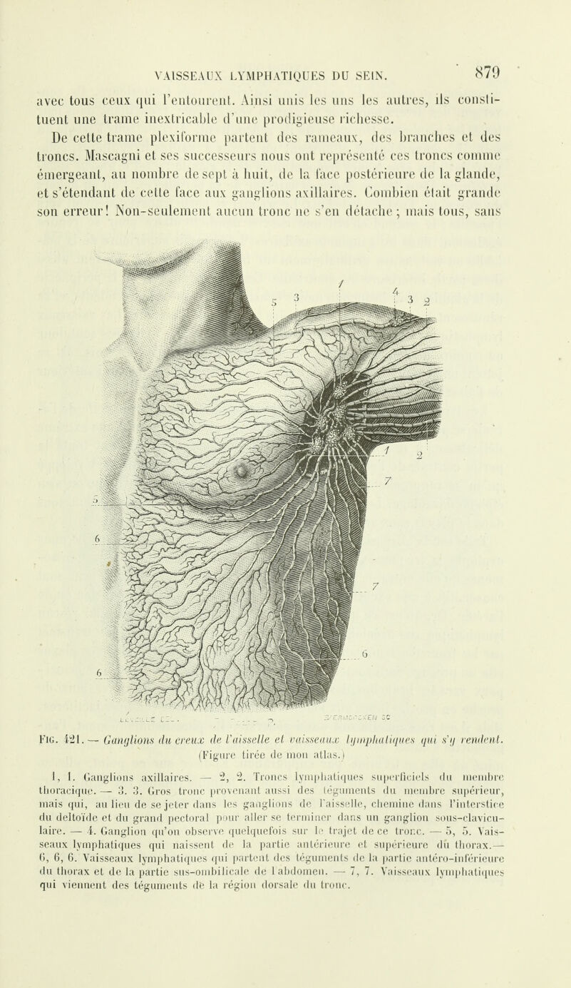avec tous ceux qui l’entourent. Ainsi unis les uns les autres, ils consti- tuent une trame inextricable d’une prodigieuse richesse. De cette trame plexiforme partent des rameaux, des branches et des troncs. Mascagni et ses successeurs nous ont représenté ces troncs comme émergeant, au nombre de sept à huit, de la face postérieure de la glande, et s’étendant de cette face aux ganglions axillaires. Combien était grande son erreur! Non-seulement aucun tronc ne s’en détache; mais tous, sans Fig. 421. — Ganglions du creux de Vaisselle et vaisseaux lymphatiques qui s'y rendent. (Figure tirée de mon atlas.) 1, I. Ganglions axillaires. — 2, 2. Troncs lymphatiques superficiels du membre thoracique. — 3. 3. Gros tronc provenant aussi des téguments du membre supérieur, mais qui, au lieu de se jeter dans les ganglions de l’aisselle, chemine dans l’interstice du deltoïde et du grand pectoral pour aller se terminer dans un ganglion sous-clavicu¬ laire. — 4. Ganglion qu’on observe quelquefois sur le trajet de ce tronc. — 5, 5. Vais¬ seaux lymphatiques qui naissent de la partie antérieure et supérieure dù thorax.— G, 6, 6. Vaisseaux lymphatiques qui partent des téguments de la partie antéro-inférieure du thorax et de la partie sus-ombilicale de 1 abdomen. — 7, 7. Vaisseaux lymphatiques qui viennent des téguments dé la région dorsale du tronc.