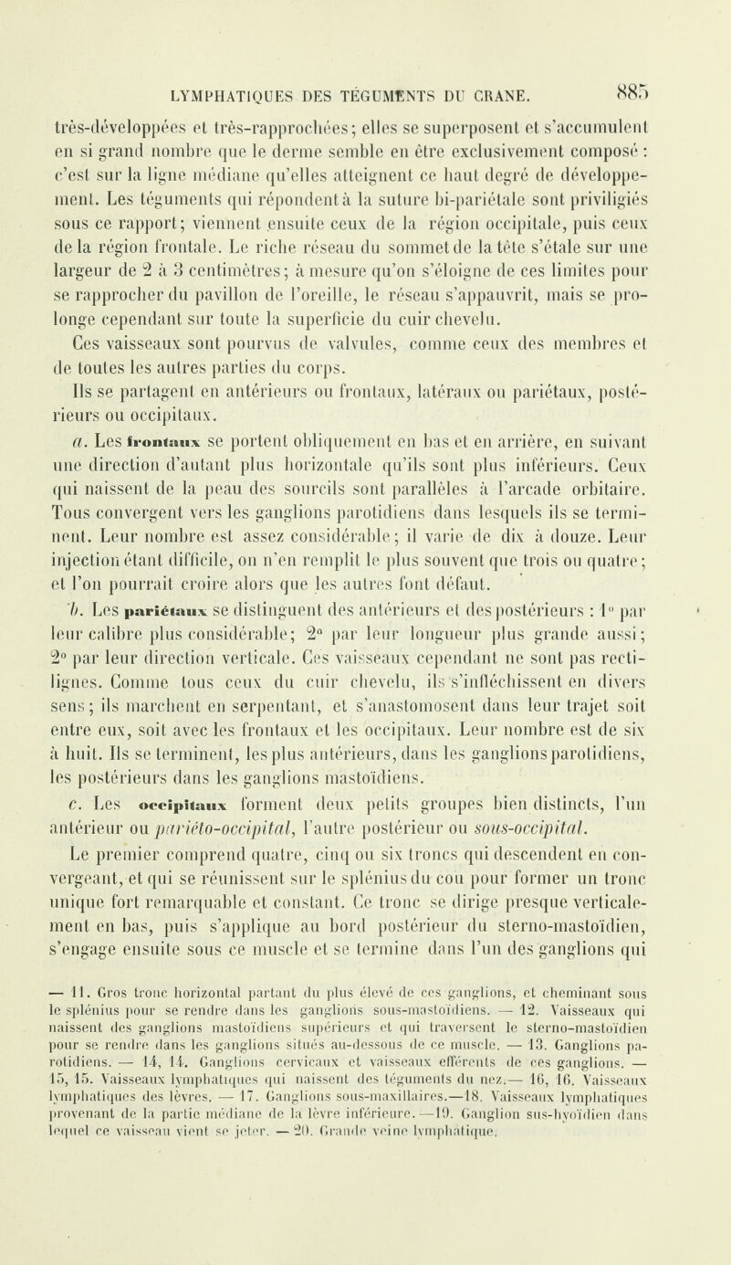 LYMPHATIQUES DES TEGUMENTS DU CRANE. très-développées et très-rapprocliées ; elles se superposent et s’accumulent en si grand nombre que le derme semble en être exclusivement composé : c’est sur la ligne médiane qu’elles atteignent ce haut degré de développe¬ ment. Les téguments qui répondent à la suture bi-pariélale sont priviligiés sous ce rapport; viennent ensuite ceux de la région occipitale, puis ceux delà région frontale. Le riche réseau du sommet de la tête s’étale sur une largeur de 2 à 3 centimètres ; à mesure qu’on s’éloigne de ces limites pour se rapprocher du pavillon de l’oreille, le réseau s’appauvrit, mais se pro¬ longe cependant sur toute la superficie du cuir chevelu. Ces vaisseaux sont pourvus de valvules, comme ceux des membres et de toutes les autres parties du corps. Ils se partagent en antérieurs ou frontaux, latéraux ou pariétaux, posté¬ rieurs ou occipitaux. a. Les frontaux se portent obliquement en bas et en arrière, en suivant une direction d’autant plus horizontale qu’ils sont plus inférieurs. Ceux qui naissent de la peau des sourcils sont parallèles à l’arcade orbitaire. Tous convergent vers les ganglions parotidiens dans lesquels ils se termi¬ nent. Leur nombre est assez considérable; il varie de dix à douze. Leur injection étant difficile, on n’en remplit le plus souvent que trois ou quatre; et l’on pourrait croire alors que les autres font défaut. b. Les pariétaux se distinguent des antérieurs et des postérieurs : 1° par leur calibre plus considérable; 2° par leur longueur plus grande aussi; 2° par leur direction verticale. Ces vaisseaux cependant ne sont pas recti¬ lignes. Comme tous ceux du cuir chevelu, ils's’infléchissent en divers sens ; ils marchent en serpentant, et s’anastomosent dans leur trajet soit entre eux, soit avec les frontaux et les occipitaux. Leur nombre est de six à huit. Ils se terminent, les plus antérieurs, dans les ganglions parotidiens, les postérieurs dans les ganglions mastoïdiens. c. Les occipitaux forment deux petits groupes bien distincts, l’un antérieur ou pariéto-occipital, l’autre postérieur ou sous-occipital. Le premier comprend quatre, cinq ou six troncs qui descendent en con¬ vergeant, et qui se réunissent sur le spléniusdu cou pour former un tronc unique fort remarquable et constant. Ce tronc se dirige presque verticale¬ ment en bas, puis s’applique au bord postérieur du sterno-mastoïdien, s’engage ensuite sous ce muscle et se termine dans l’un des ganglions qui — 11. Gros tronc horizontal partant du plus élevé de ces ganglions, et cheminant sous le splénius pour se rendre dans les ganglions sous-mastoïdiens. — 12. Vaisseaux qui naissent des ganglions mastoïdiens supérieurs et qui traversent le sterno-mastoïdien pour se rendre dans les ganglions situés au-dessous de ce muscle. — 13. Ganglions pa¬ rotidiens. — 14, 14. Ganglions cervicaux et vaisseaux efférents de ces ganglions. — 15, 15. Vaisseaux lymphatiques qui naissent des téguments du nez.— 16, 16. Vaisseaux lymphatiques des lèvres. — 17. Ganglions sous-maxillaires.—18. Vaisseaux lymphatiques provenant de la partie médiane de la lèvre inférieure.—19. Ganglion sus-hyoïdien dans lequel ce vaisseau vient se jeter. —20. Grande veine lymphatique.