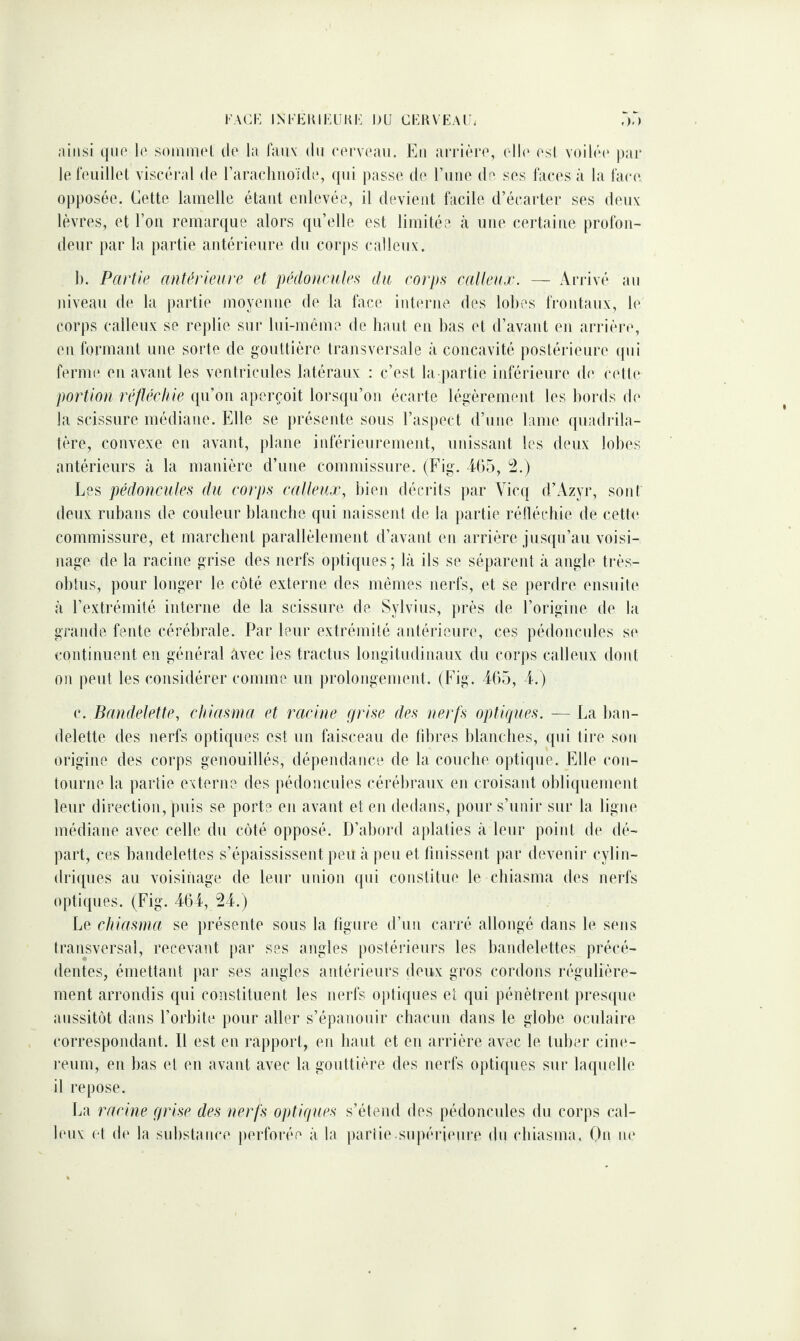 FACK INKEKIFLÎKK DU CKKVEAU. ainsi qiio le soniinel de la faiiv du eerveau. En arrière, ell(‘ esl voilé(* pai* lereiiillel viscéral de rarachiio'itle, qui passe de rmie de ses laces à la lace, opposée. Cette lamelle étant enlevée, il devient facile d’écarter ses deuv lèvres, et l’on remarque alors qu’elle est limitée à une certaitie profon¬ deur par la partie antérieure du corps calleux. 1). Partie antérieure et pédoncules du corps calleux. — iVrrivé au niveau de la partie moyenne de la l’ace interne des lobes frontaux, le corps calleux se replie sur lui-même de haut en bas et d’avant en arrière, en formant une sorte de gouttière transversale à concavité postérieure qui ferme en avant les ventricules latéraux : c’est la-partie inférieure de cett(‘ portion réfléchie qu’on aperçoit lorsqu’on écarte légèrement les bords de la scissure médiane. Elle se présente sous l’aspect d’une lame quadrila¬ tère, convexe en avant, plane inférieuremeid, unissant les deux lobes antérieurs à la manière d’une comnnssure. (Fig. 465, ^.) Les pédoncules du corps calleux, bien décrits par Yicq d’Azyr, sont deux rubans de couleur blanche qui naissent de la partie rétlécbie de cetl(‘ commissure, et marchent parallèlement d’avant en arrière jusqu’au voisi¬ nage de la racine grise des nerfs optiques; là ils se séparent à angle ti-ès- obtus, pour longer le côté externe des mêmes nerfs, et se perdre ensuite à l’extrémité interne de la scissure de Sylvius, près de l’origine de la grande fente cérébrale. Par leur extrémité antérieure, ces pédoncades s(‘ continuent en général avec les tractus longitudinanx dn corps calleux dont 011 peut les considérer comme un prolongement. (Eig. 465, 4. ) c. Bandelette, chiasrna et racine grise des nerfs optiques. — La ban¬ delette des nerfs optiques est un faisceau de fibres blanches, qui tire son origine des corps genouillés, dépendance de la couche optique. Elle con¬ tourne la partie externe des pédoncules cérébraux en croisant obliquement leur direction, puis se porte en avant et en dedans, pour s’unir sur la ligne médiane avec celle du côté opposé. D’abord aplaties à leur point de dé¬ part, ces bandelettes s’épaississent peu à peu et finissent par devenii* cylin¬ driques au voisinage de leur union qui constitue le ebiasma des nerfs optiques. (Fig. 464, 24.) Le cliiasma se présente sous la figure d’un carré allongé dans le sens transversal, recevant par ses angles postérieurs les bandelettes précé¬ dentes, émettant par ses angles antérieurs deux gros cordons régulière¬ ment arrondis qui constituent les nerfs optiques et qui pénètrent jiresipie aussitôt dans l’orbite pour aller s’épanouir chacun dans le globe oculaire correspondant. Il est en rapport, en liant et en arrière avec le tuber ciiK'- reum, en bas et en avant avec la gouttière des nerfs optiques sur laquelle il repose. La racine grise des nerfs optiques s’étend des pédoncules du corps cal¬ leux et de la substance |)erforée à la parli(‘ sn|)érienre du (diiasma. On ne