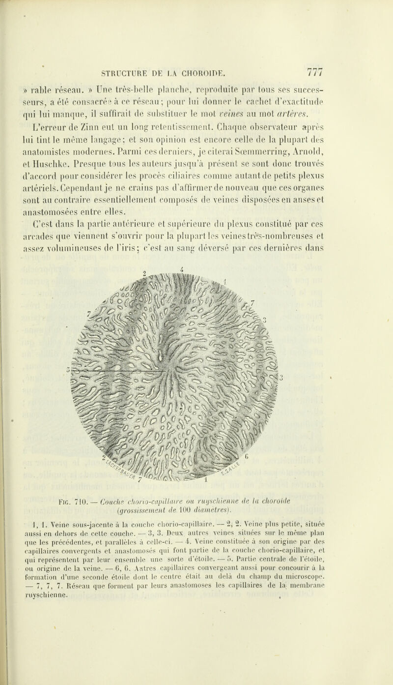 )) rable réseau. » Une très-lielle plnnrlie, reproduite par lous ses succes¬ seurs, a été consacrée à ce réseau; pour lui donner le cacdiet d’exactitude qui lui manque, il suffirait de substituer le mot vehm au mot artères. L’erreur de Zinn eut un long retentissement. Cbaque observateur après lui tint le même langage; et son opinion est encore celle de la plupart des anatomistes modernes. Parmi ces derniers, je citerai Sœmmerriug, Arnold, et Husctike. Presque tons les auteurs jusqu’à présent se sont donc trouvés d’accord pour considérer les procès ciliaires comme autant de petits plexus artériels. Cependant je ne crains pas d’affirmer de nouveau que ces organes sont au contraire essentiellement composés de veines disposées en anses et anastomosées entre elles. C’est dans la partie antérieure et supérieure du plexus constitué par ces arcades que viennent s’ouvrir pour la plupart les veines très-nombreuses et assez volumineuses de l’iris; c’est au sang déversé par ces dernières dans Fig. 7tü.— CoucIi.r chorio-capillaire ou ruusckienne de la choroïde (grossissement de 100 diamètres). 1,1. Veine sous-jacente à la couche chorio-capillaire. — 2, 2. Veine plus petite, située aussi en dehors de cette couche. ■— 3, 3. Deux autres veines situées sur le même plan rpie les précédentes, et parallèles à celle-ci. — i. Veine constituée à son origine par des capillaires convergents et anastomosés qui font partie de la couche chorio-capillaii'e, et qui représentent par leur ensemble une sorte il’étoile. — 5. Partie centrale de l’étoile, ou origine de la veine. — 6, 6. Amtres cai>illaires convergeant aussi pour concourir à la formation d’une seconde étoile dont le centre était au delà du chanqj du microscope. — 7, 7, 7. Réseau que forment par leurs anastomoses les capillaires de lai membrane ruyschienne. ,