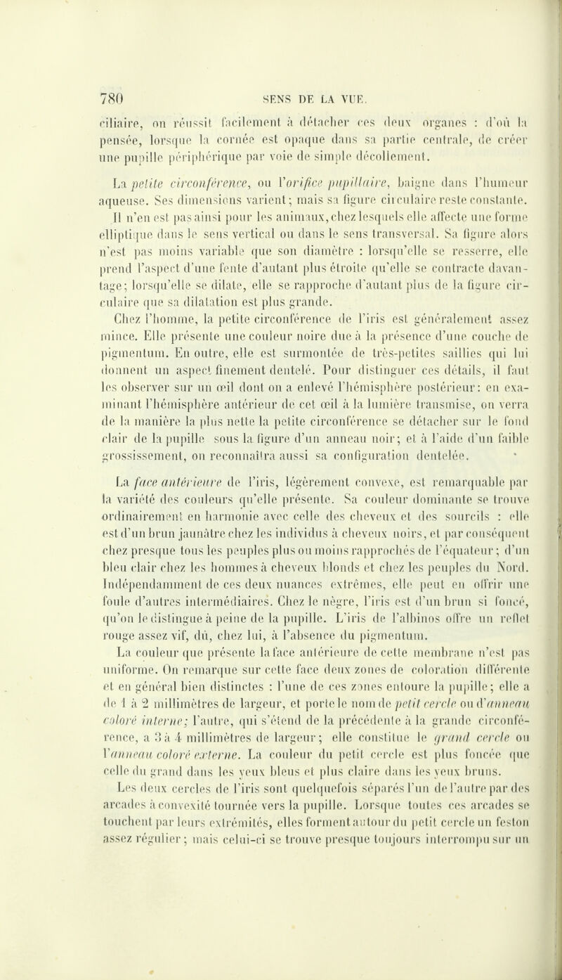 ciliaire, on réussit fncilement à délnclier cos doux organes : d’on la pensée, lorsrpic la cornée est 0|)aque dans sa partie centrale, de créer une pupille périphérique par voie de simple décollennnit. La pellte circonférence, ou Vorifice pupillaire, baigne dans rhiiineur aqueuse. Ses dimensions varient; mais sa figure ciiculaircreste constaide. 11 n’en est pas ainsi pour les animaux, chez lesquels elle alfecte une forme elliptique dans le sens vertical ou dans le sens transversal. Sa figure aloi's n’est pas moins variable que son diamètre ; lors(|u’elle se resserre, elle l)rend l’aspect d’une fente d’autant plus étroite ([u’elle se contracte davan¬ tage; lorsqu’elle se dilate, elle se ra])proche d’aiUnnt plus de la figure cir¬ culaire que sa dilatation est plus grande. Chez l’homme, la petite circonférence de l’iris est généralement assez mince. Elle présente uneconleur noire due à la présence d’une couche de ))iginentum. En outre, elle est surmontée de très-petites saillies qui lui donnent un aspect finement dentelé. Pour distinguer ces détails, il faut les observer sur un œil dont on a enlevé l’hémisphère postérieur: en exa¬ minant l’hémisphère antérieur de cet œil à la lumière transmise, on verra de la manière la plus nette la petite circonférence se détacher sur le fond clair de la pupille sous la figure d’un anneau noir; et à l’aide d’nn faible grossissement, on reconnaîtra aussi sa configuration dentelée. La face antérieure de l’iris, légèrement convexe, est remaiajiiable par la variété des couleurs qu’elle présente. Sa couleur dominante se trouve ordinairement en harmonie avec celle des cheveux et des sourcils : (die est d’un brun jaunâtre chez les individus à cheveux noirs, et |)ar conséquent chez presque tous les peuples plus ou moins rapprochés de l’éfpiateur ; d’un bleu clair chez les hommes à cheveux blonds et chez les peuples du Nord. Indépendamment de ces deux nuances extrêmes, elle peut eu olfrir une foule d’autres intermédiaires. Chez le nègre, l’iris est d’un brun si foncé, qu’on le distingue à peine de la pupille. L’iris de l’albinos offre un refiel rouge assez vif, dû, chez lui, à l’absence du pigmentum. La couleur que présente la face aniérieure de cette membrane n’esi pas uniforme. On remarque sur cette face deux zones de color.dion dilféreide et en général bien distinctes : l’nne de ces zones entoure la j)upille; elle a de 1 à 2 millimètres de largeur, et porte le nom de petit cercle ou iVauneau coloré interne; l’autre, qui s’étend de la j)récédenle à la grande circonfé¬ rence, a dài' millimètres de largeur; elle constitue le grand cercle ou y anneau coloré externe. La couleur du petit cercle est plus foncée (pie celle du grand dans les yeux bleus et jilus claire dans 1(‘S yeux bruns. Les deux cercles de l’iris sont (piehpiefois séparés run d(‘l’autre par (l(*s arcades à convexité tournée vers la pupille. Lorsque toutes ces arcades se touchent par leurs extrémités, elles forment autour du petit cercle un feston assez régulier; mais celui-ci se trouve jiresque toujours interroiupu sur un