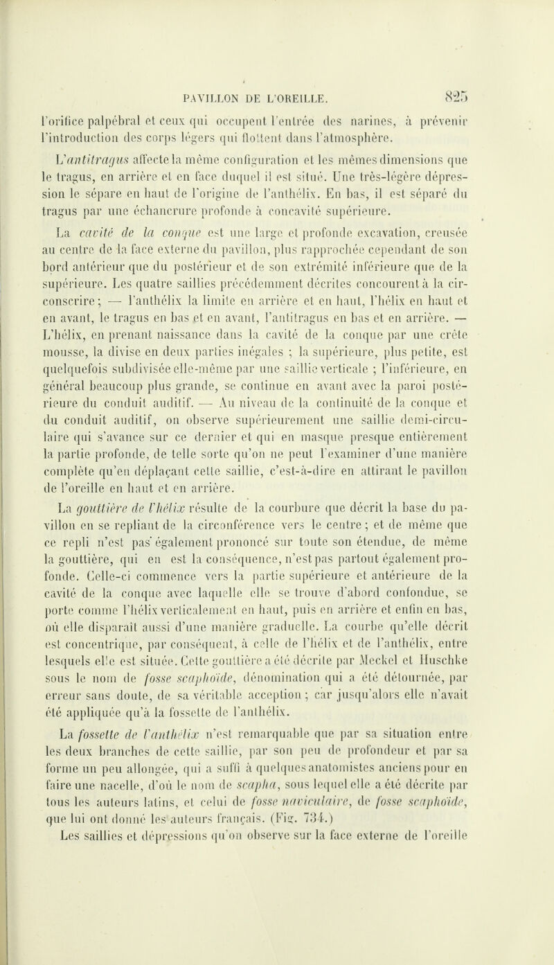 rorilice palpébral et ceux qui occupent l’eutrée des narines, à prévenir rintroduction des corps légers qui llolteiit dans ratmosplière. Uantitragiis affecte la même configuration et les mêmes dimensions que le tragus, en arrière et en face duquel il est situé. Une très-légère dépres¬ sion le sépare en haut de l’origine de l’anthélix. En bas, il est séparé du tragus par une échancrure profonde à concavité supérieure. La cavité de la conque est une large et profonde excavation, creusée au centre de la face externe du pavillon, plus rapprochée cependant de son bord antérieur que du postérieur et de son extrémité inférieure que de la supérieure. Les quatre saillies précédemment décrites concourent à la cir¬ conscrire; — l’antliélix la limite en arrière et en haut, l’hélix en haut et en avant, le tragus en bas et en avant, l’antitragus en bas et en arrière. — L’hélix, en prenant naissance dans la cavité de la conque par une crête mousse, la divise en deux parties inégales ; la supérieure, plus petite, est quelquefois subdivisée elle-même par une saillie verticale ; l’inférieure, en général beaucoup plus grande, se continue en avant avec la })aroi posté¬ rieure du conduit auditif. — Au niveau de la continuité de la conque et du conduit auditif, on observe supérieurement une saillie demi-circu¬ laire qui s’avance sur ce dernier et qui en masque presque entièrement la partie profonde, de telle sorte qu’on ne peut l’examiner d’une manière complète qu’en déplaçant celte saillie, c’est-à-dire en attirant le pavillon de l’oreille en haut et en arrière. La gouttière de rhéiix résulte de la courbure que décrit la base du pa¬ villon en se repliant de la circonférence vers le centre ; et de même que ce repli n’est pas également prononcé sur toute son étendue, de même la gouttière, qui en est la conséquence, n’est pas partout également pro¬ fonde. Celle-ci commence vers la partie supérieure et antérieure de la cavité de la conque avec laquelle elle se trouve d’abord confondue, se porte comme l’hélix verticalement en haut, puis en arrière et enfin en bas, 011 elle disparaît aussi d’une manière graduelle. La courbe qu’elle décrit est concentrique, par conséquent, à celle de l’hélix et de l’antbélix, entre lesquels elle est située. Cette gouttière a été décrite par Meckel et llusclike sous le nom de fosse scaphoïde, dénomination qui a été détournée, par erreur sans doute, de sa véritable acception ; car jusqu’alors elle n’avait été appliquée qu’à la fossette de l’anthélix. La fossette de Vanthélix n’est remarquable que par sa situation entre les deux branches de cette saillie, jiar son peu de jirofondeur et par sa forme un peu allongée, qui a suffi à qiiebpies anatomistes anciens pour en faire une nacelle, d’où le nom de scaplia, sous le({uelelle a été décrite par tous les auteurs latins, et celui de fosse naviculaire, de fosse scaphoïde, que lui ont donné les auteurs français. (Fi?. 73L.) Les saillies et dépressions qu’on observe sur la face externe de l’oreille